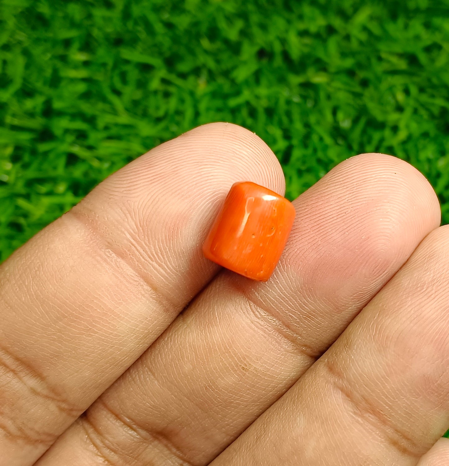 Marjan With Lab Certificate