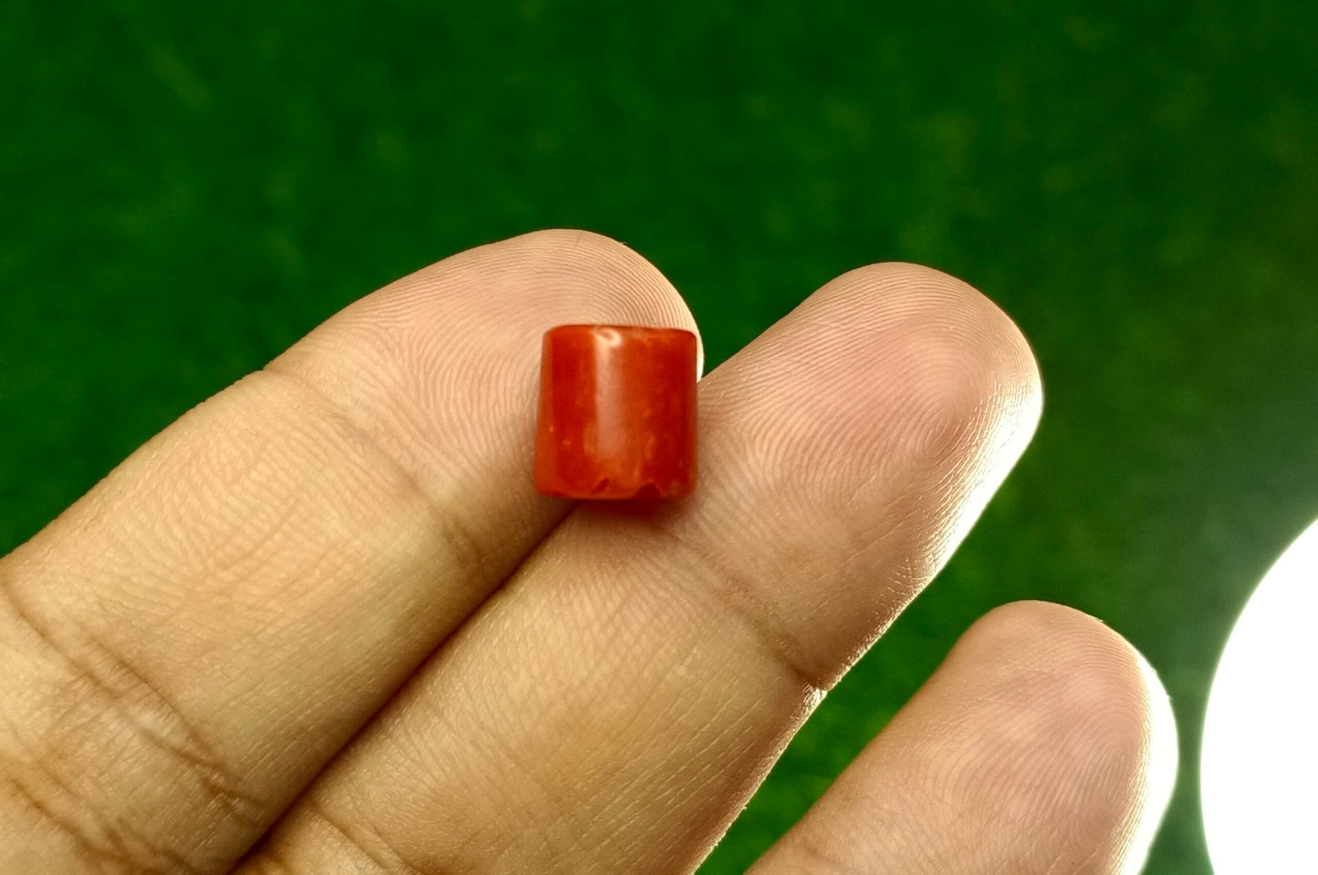 Marjan With Lab Certificate