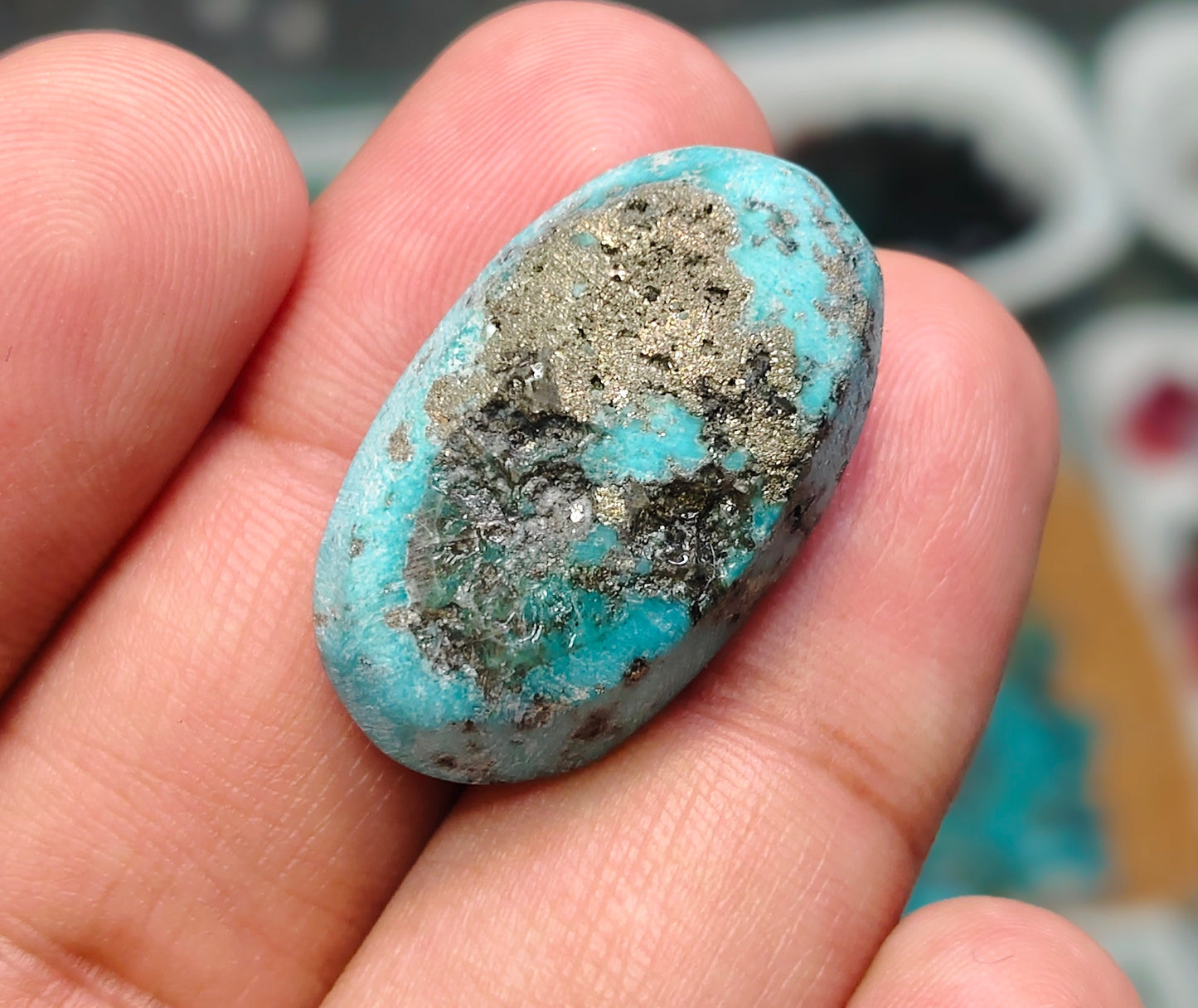 Nisha Puri Feroza (Sona Patti)