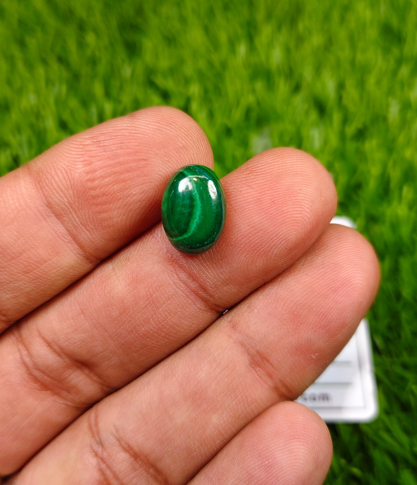 Kidney Stone With Lab certificate