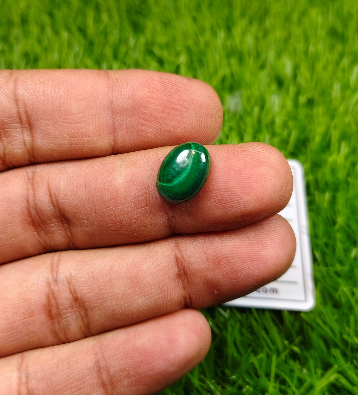 Kidney Stone With Lab certificate