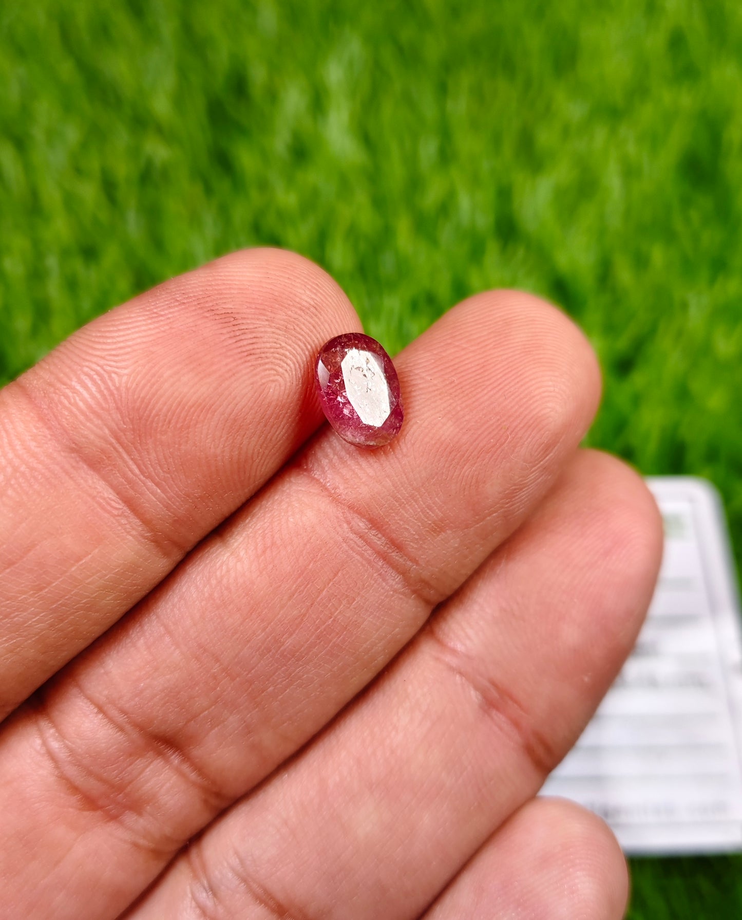 Tourmaline With Lab certificate