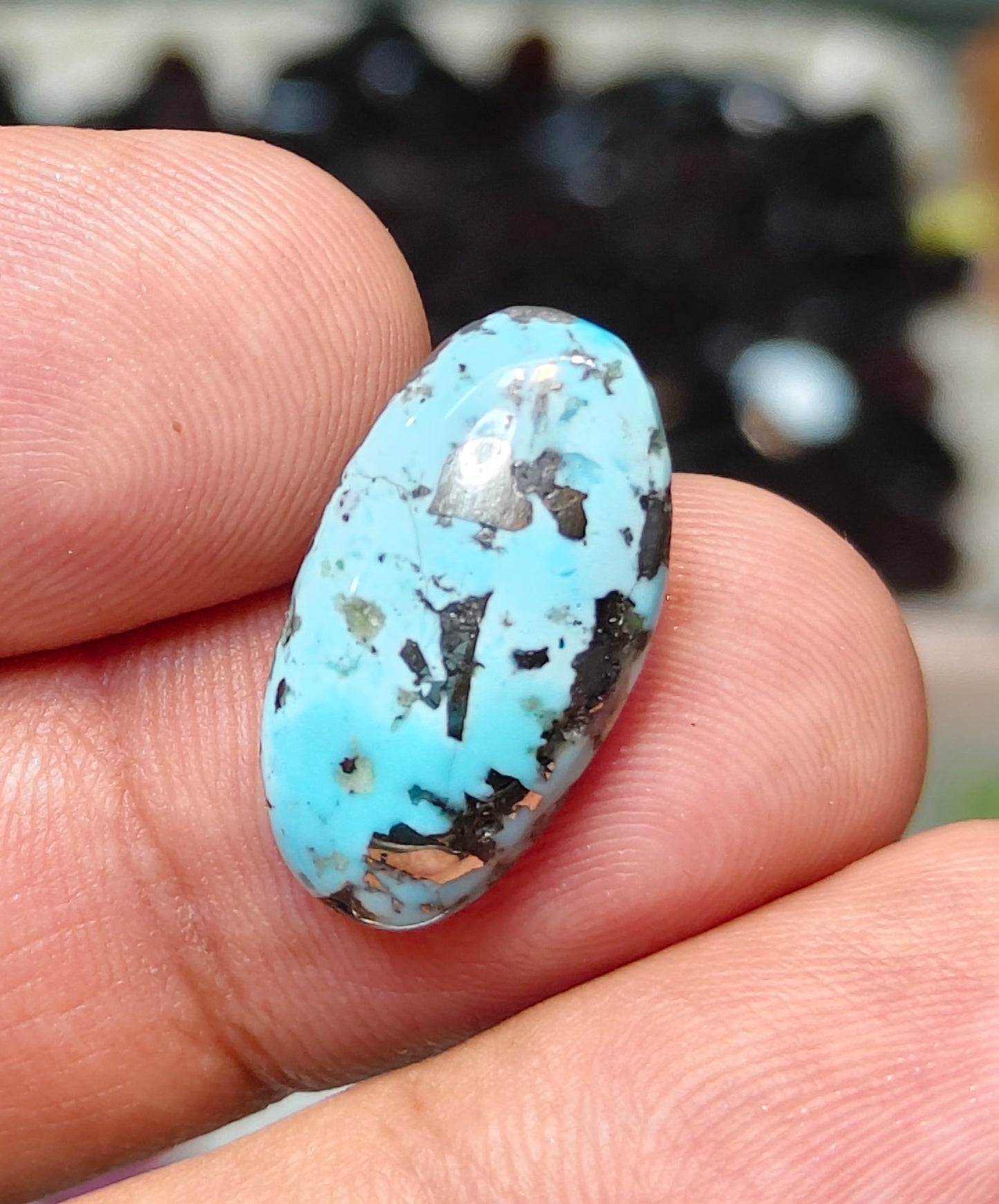 Nisha Puri Feroza (Sona Patti)