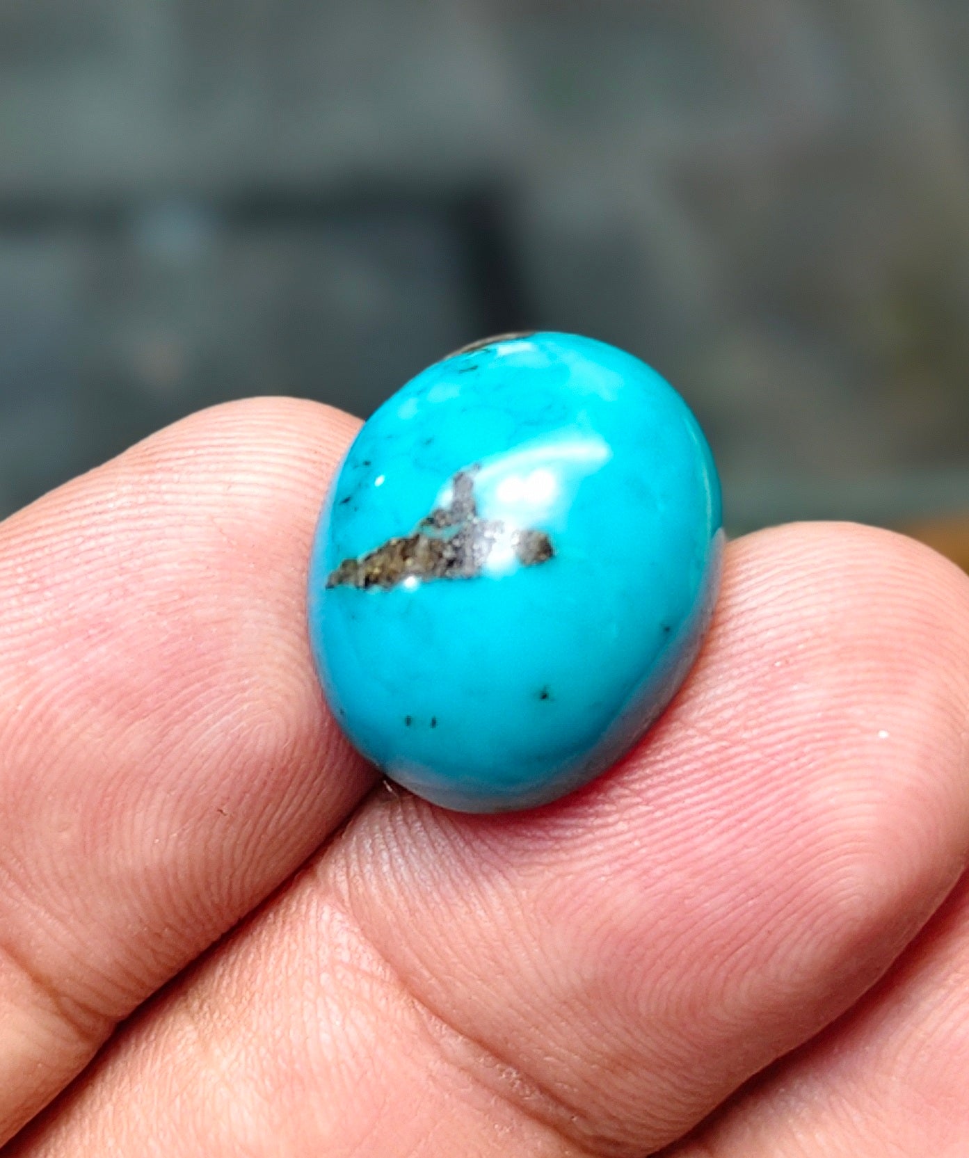 Nisha Puri Feroza (Sona Patti)