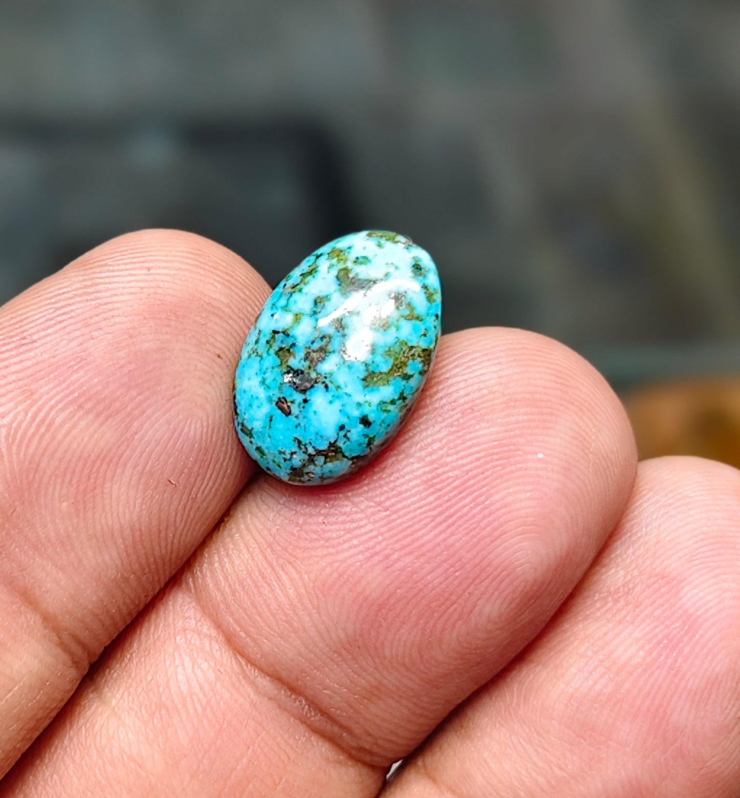 Nisha Puri Feroza (Sona Patti)