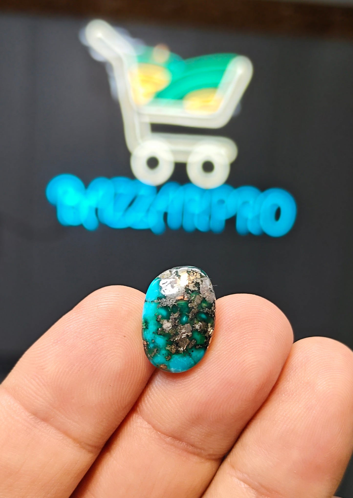 Nisha Puri Feroza (Sona Patti)