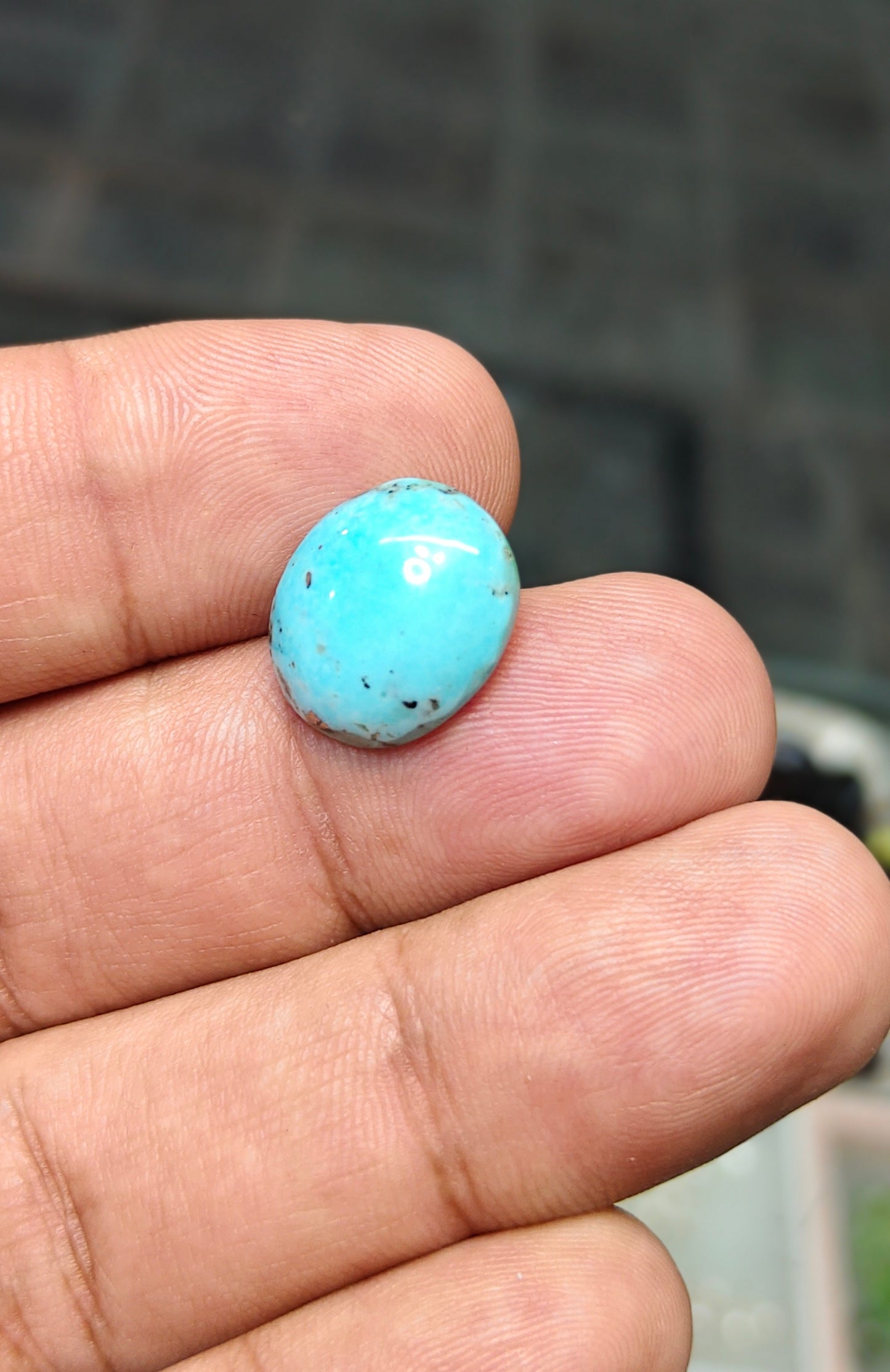 Nisha Puri Feroza (Sona Patti)