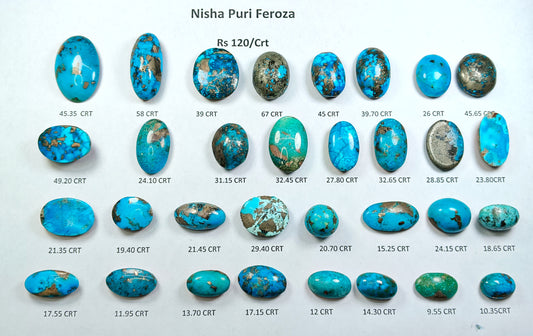 Turquoise (Nisha Puri Feroza)