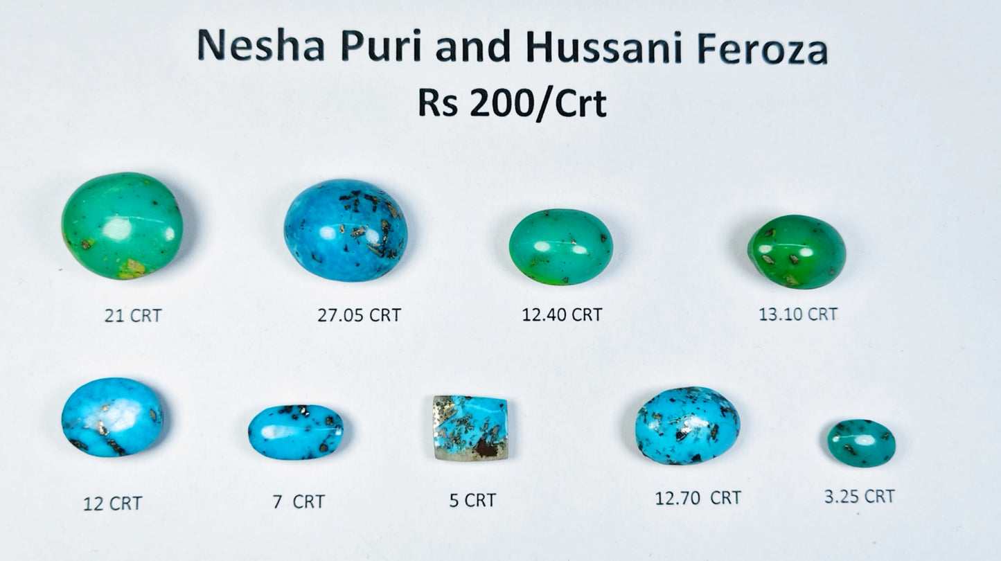 Nisha Puri And Hussani Feroza