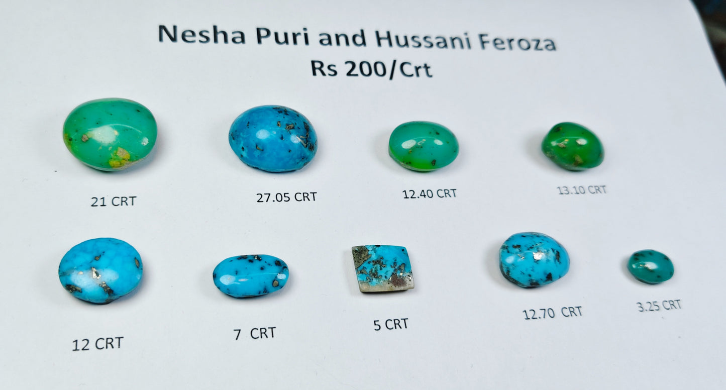Nisha Puri And Hussani Feroza