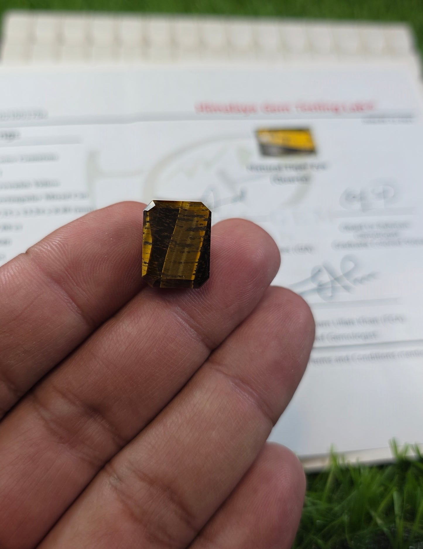 Tiger Stone With Lab Certificate