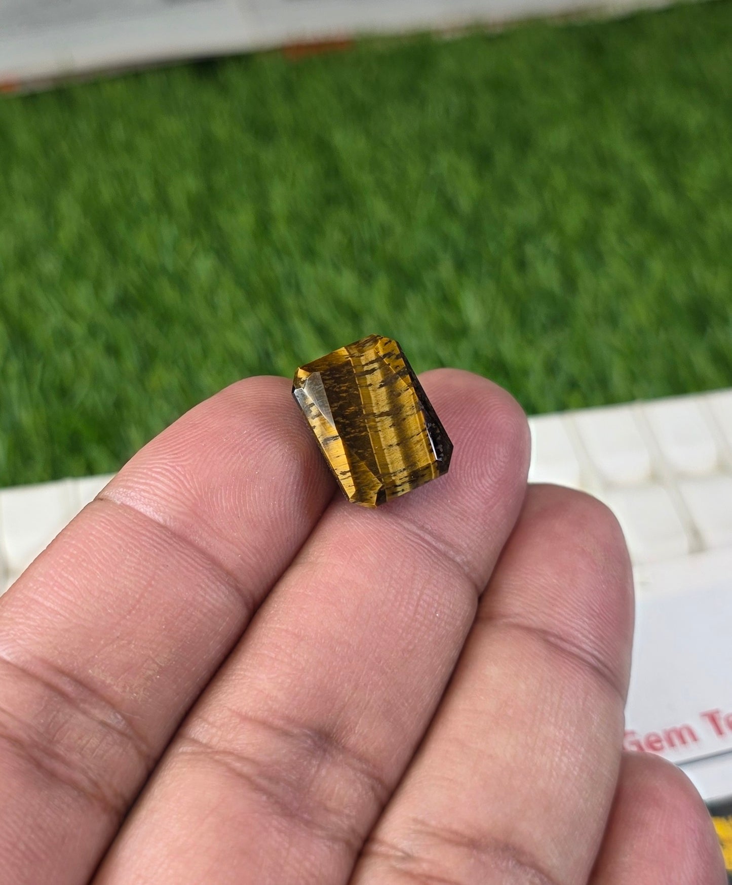 Tiger Stone With Lab Certificate