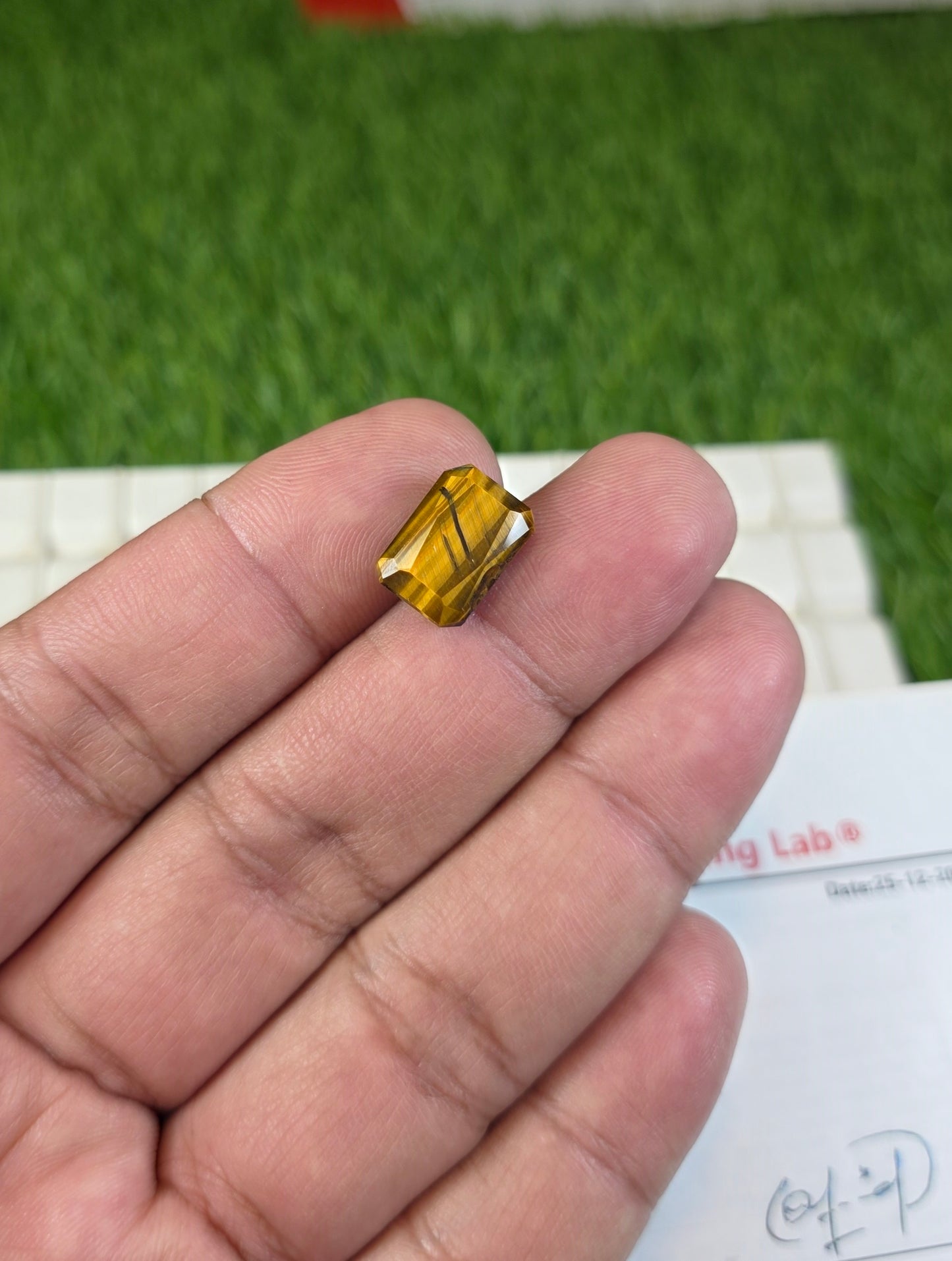 Tiger Stone With Lab Certificate