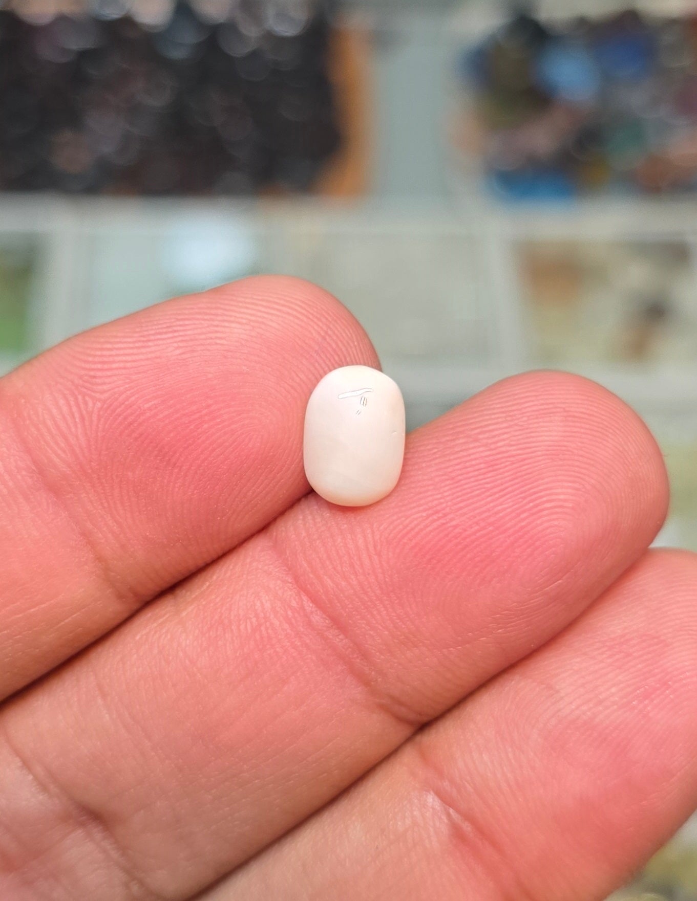 Premium Quality White Marjan Stone
