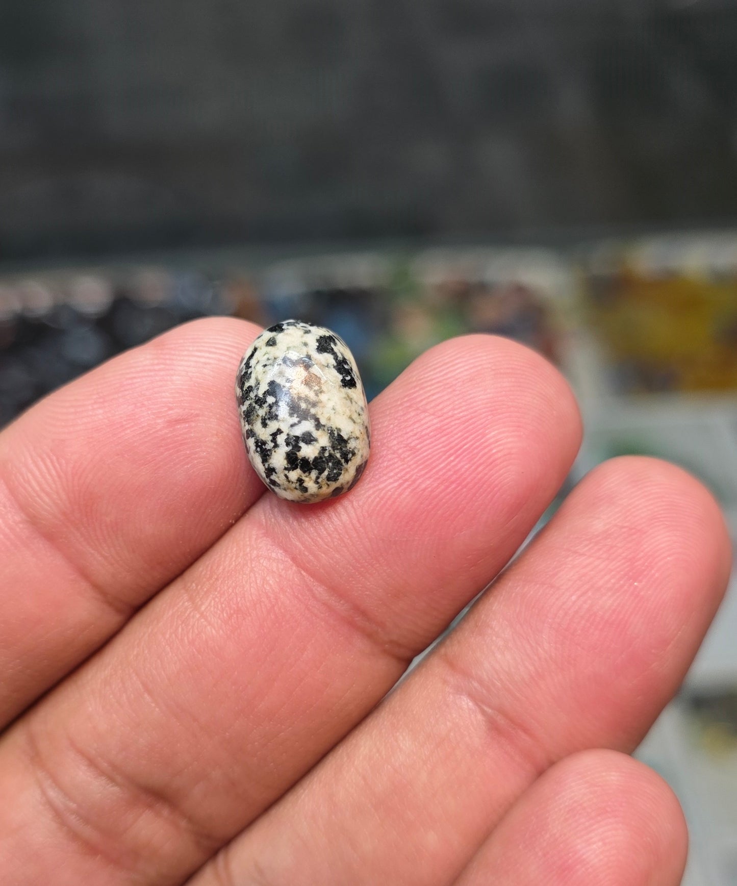 Premium Quality Zaher Mora Stone