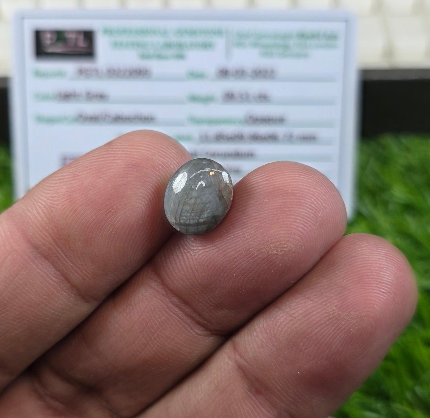 Natural Star Sapphire Stone With Lab Certificate