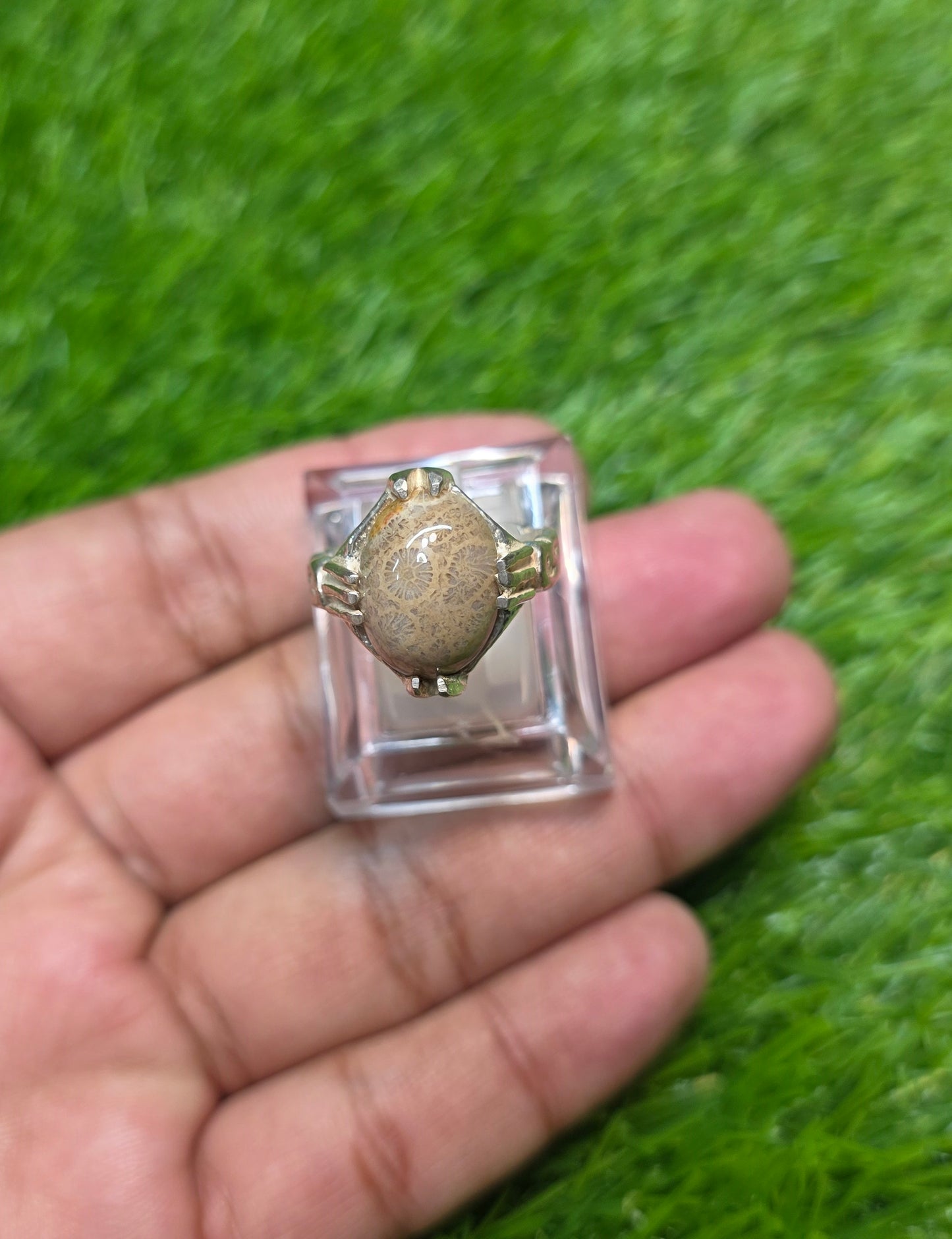 Premium Quality Indonesian Fossil Ring