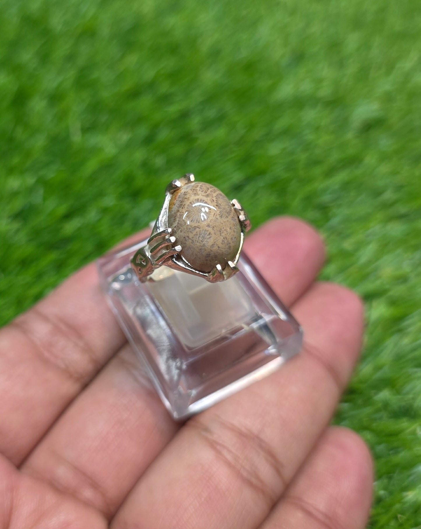 Premium Quality Indonesian Fossil Ring