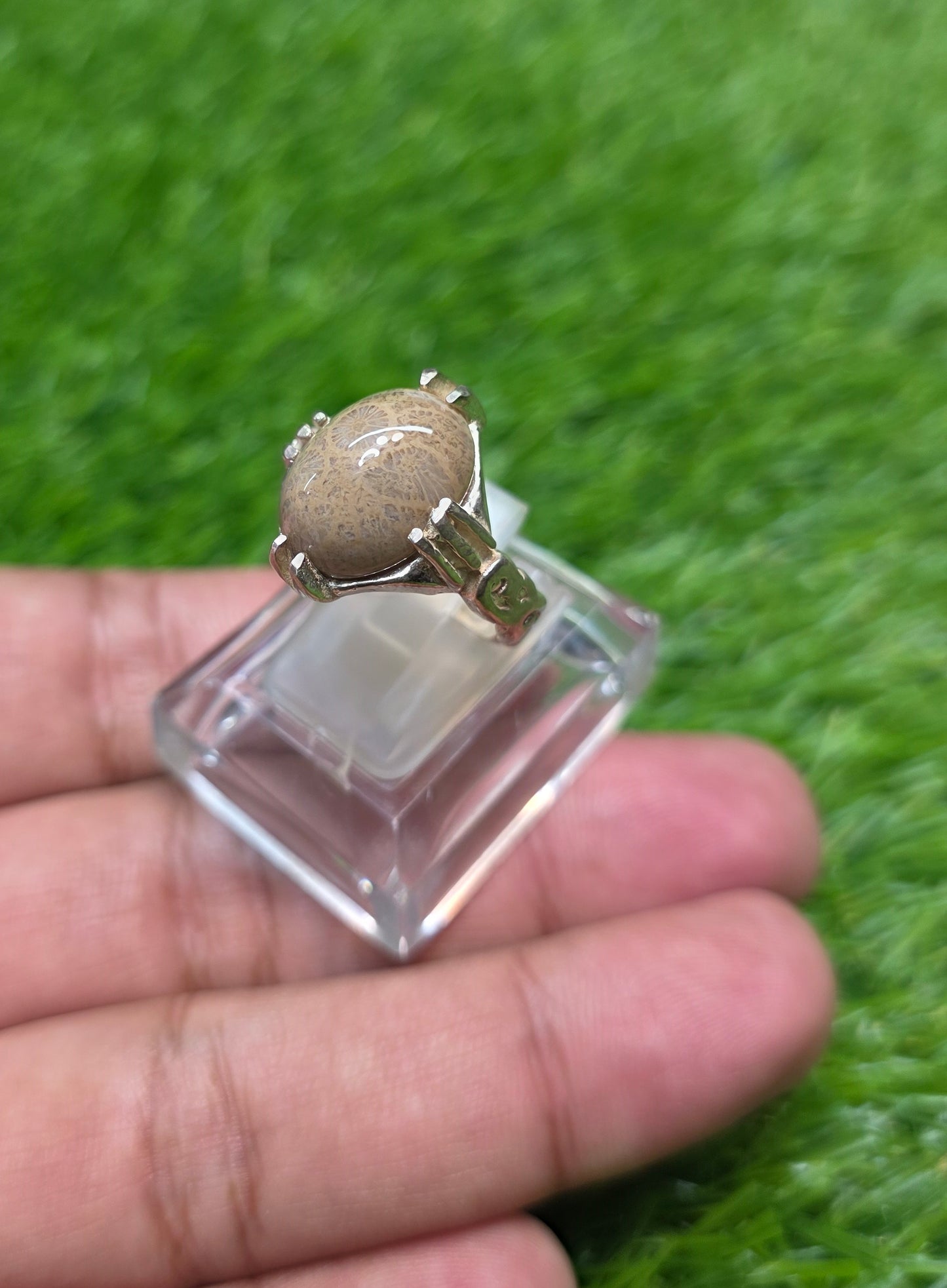 Premium Quality Indonesian Fossil Ring