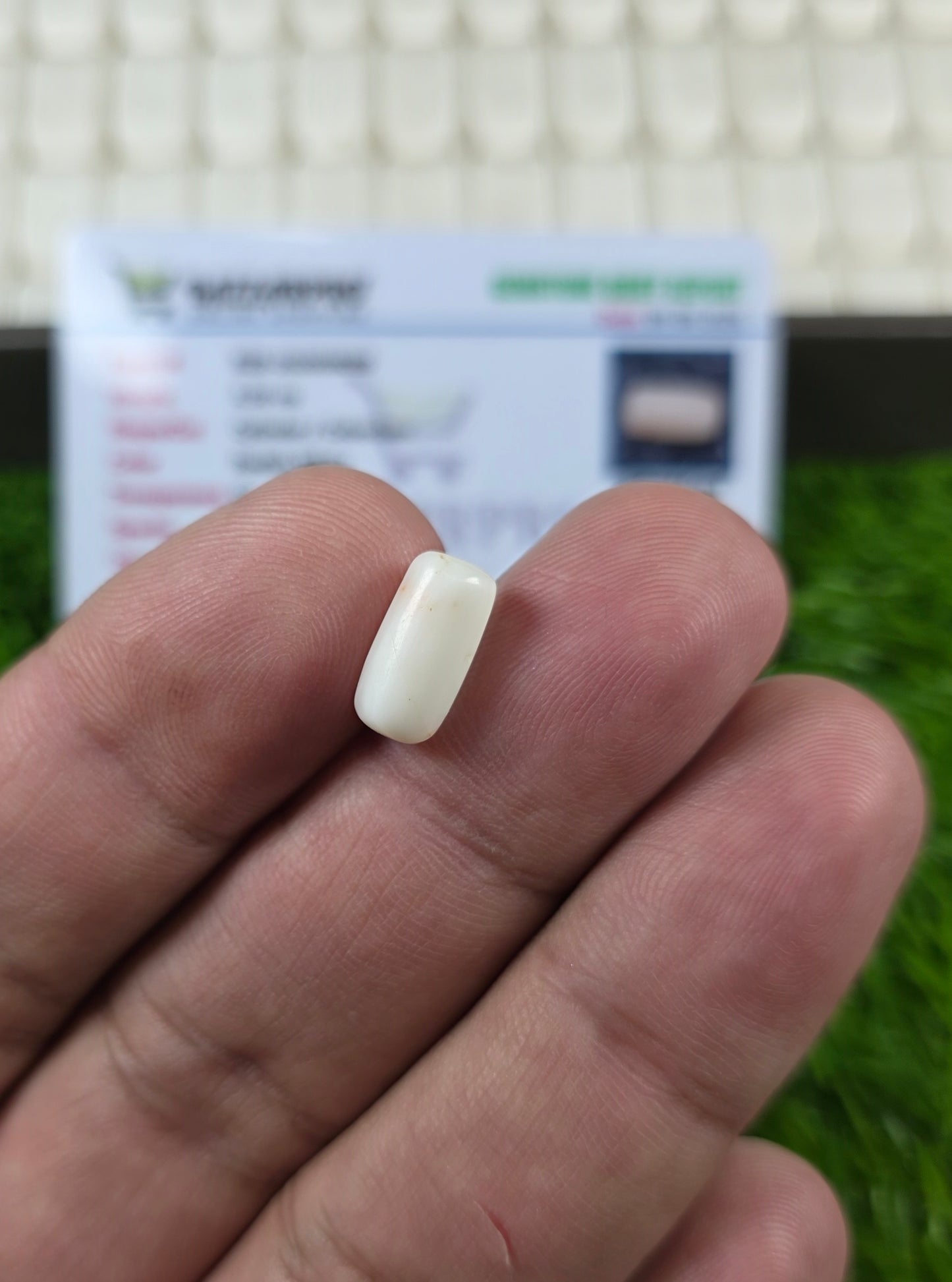 Premium Quality Marjan Stone With Lab Certificate