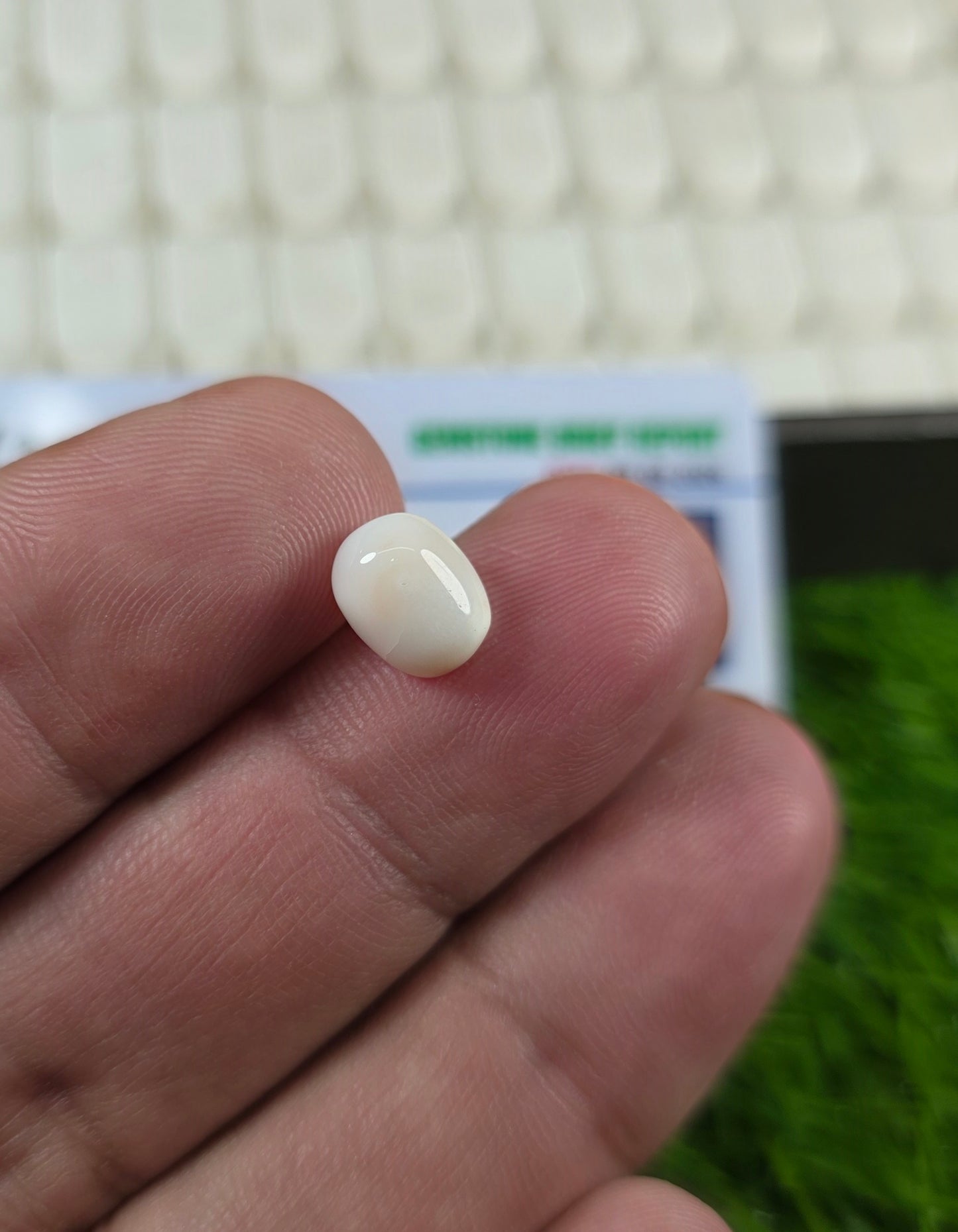Premium Quality Marjan Stone With Lab Certificate