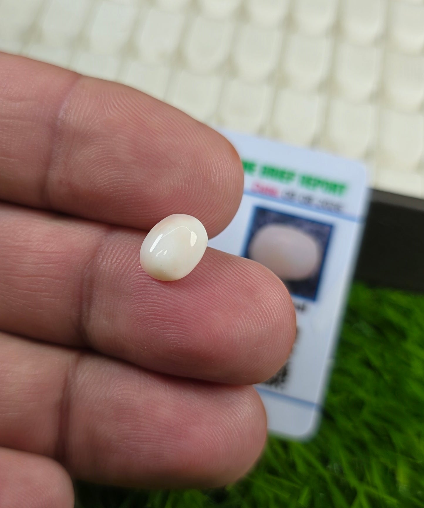 Premium Quality Marjan Stone With Lab Certificate