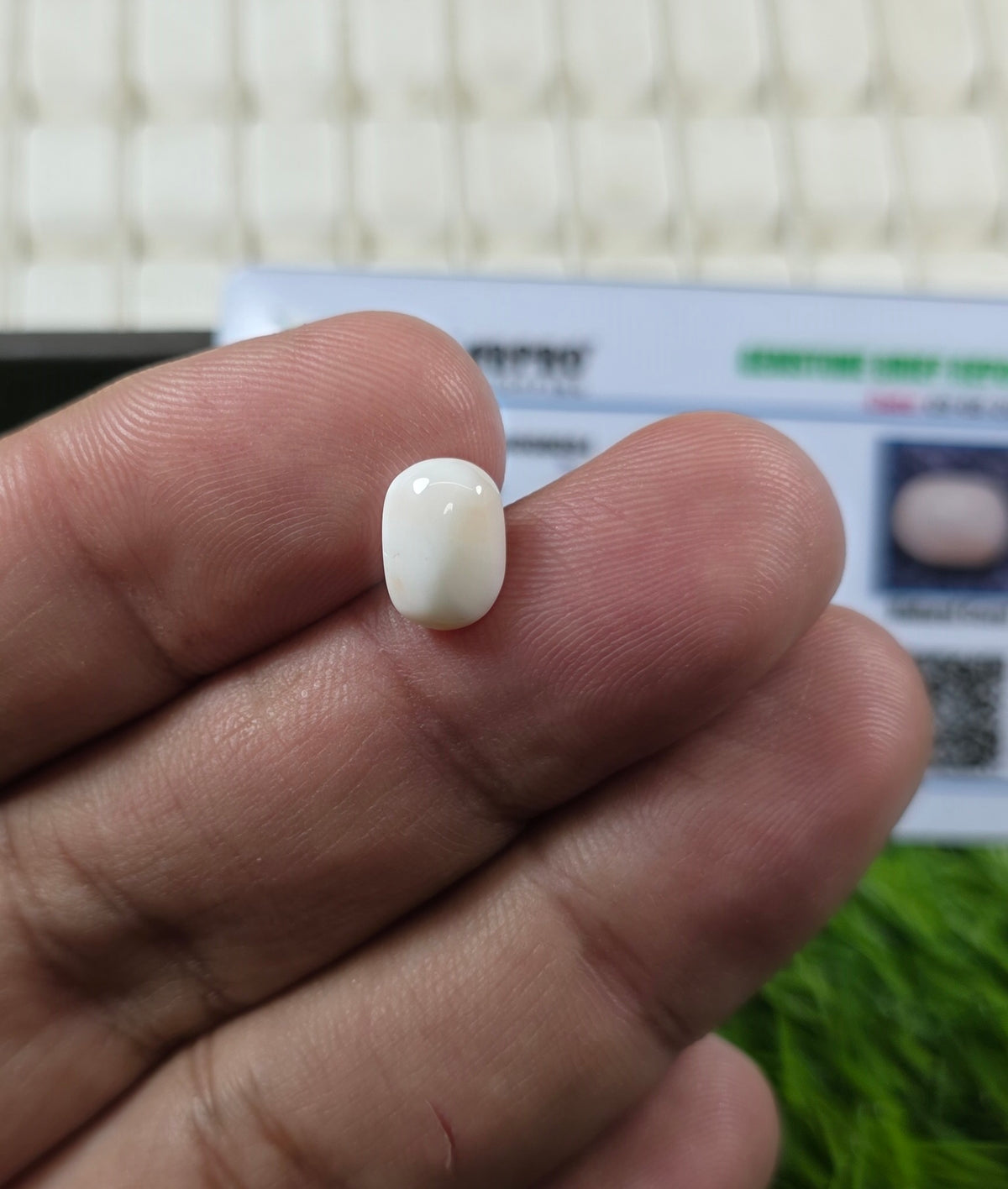 Premium Quality Marjan Stone With Lab Certificate