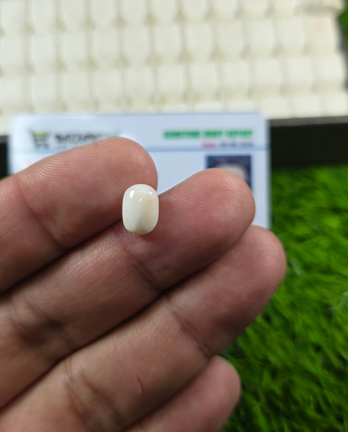 Premium Quality Marjan Stone With Lab Certificate