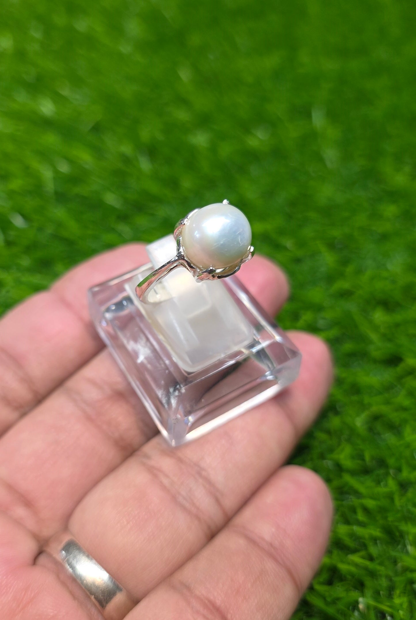 Premium Quality Pearl Ring