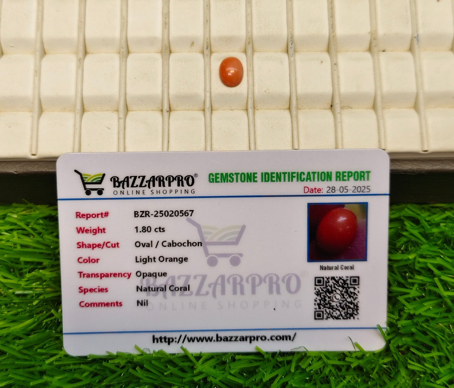 Italian Marjan With lab certificate