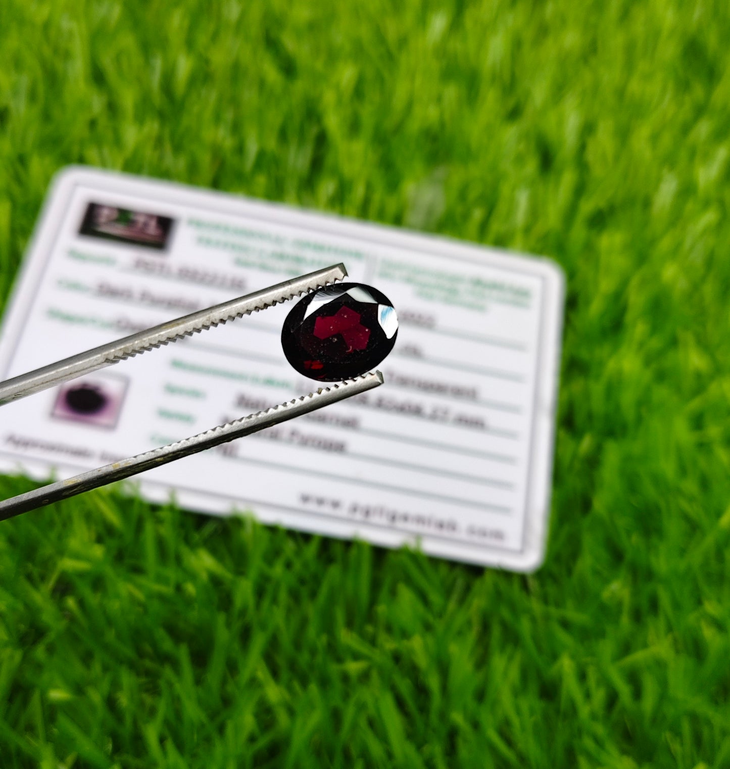 Garnet With Lab certificate