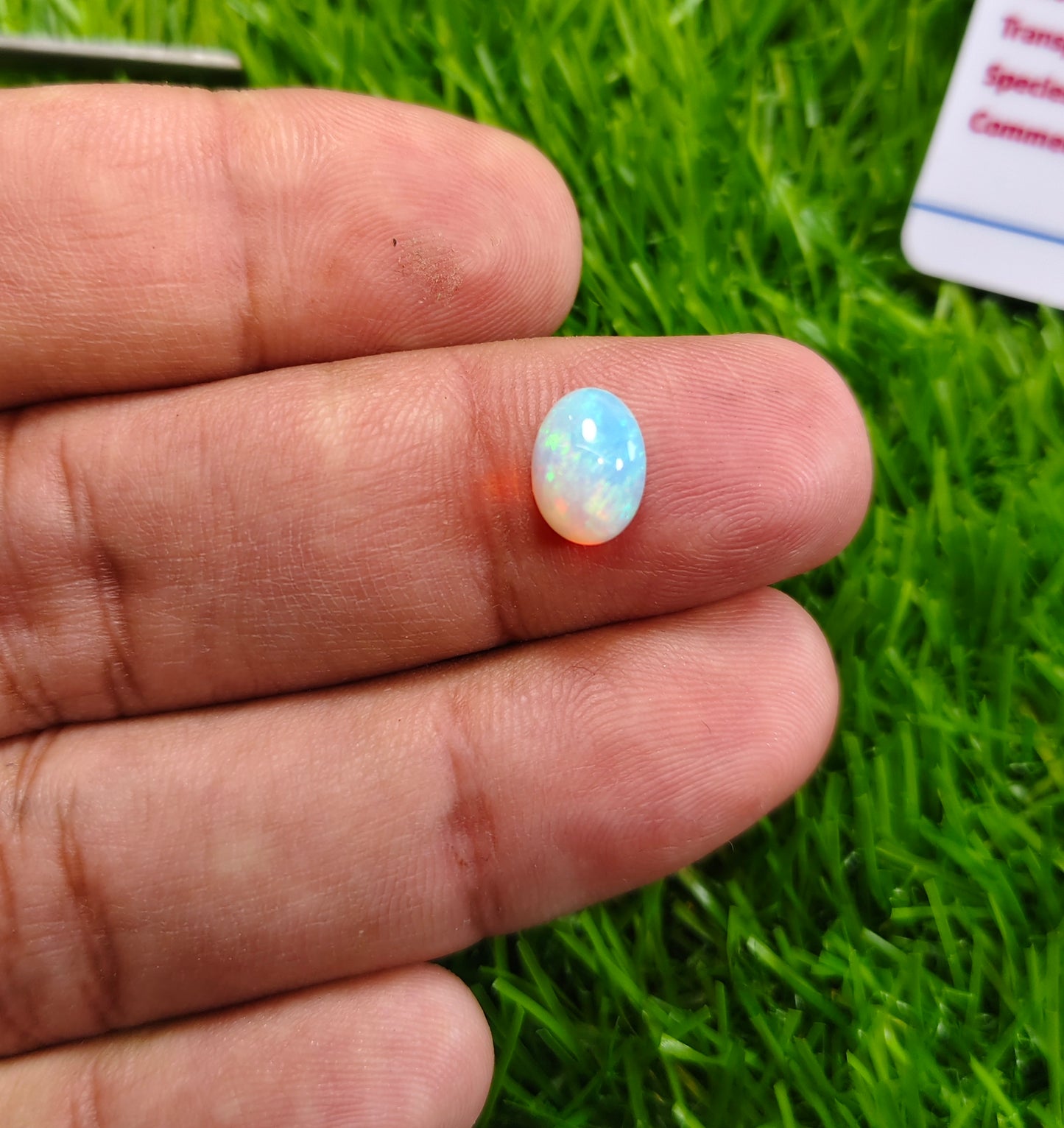 Full Fire Opal With Lab Certificate