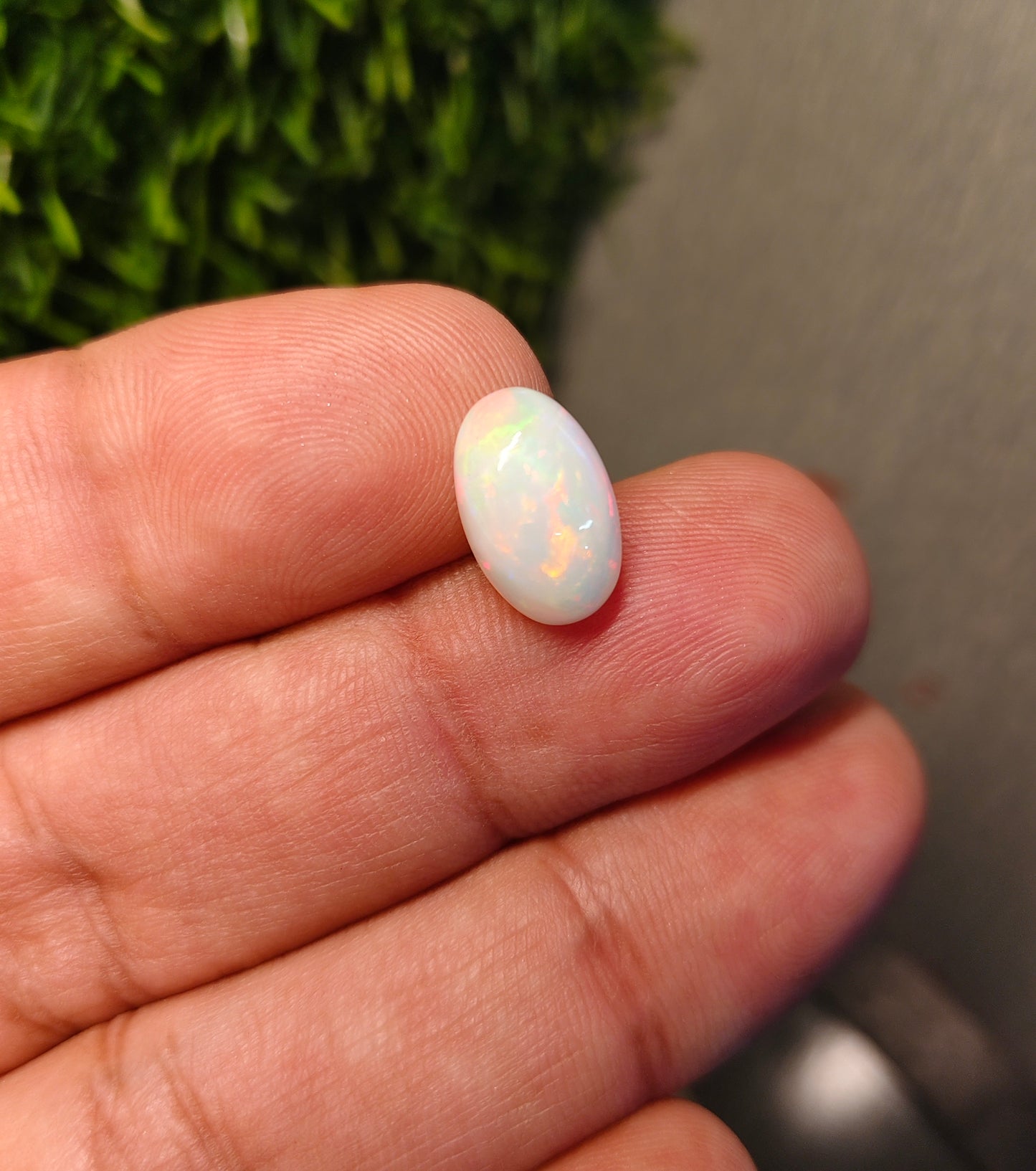 Premium Opal With Lab Certificate