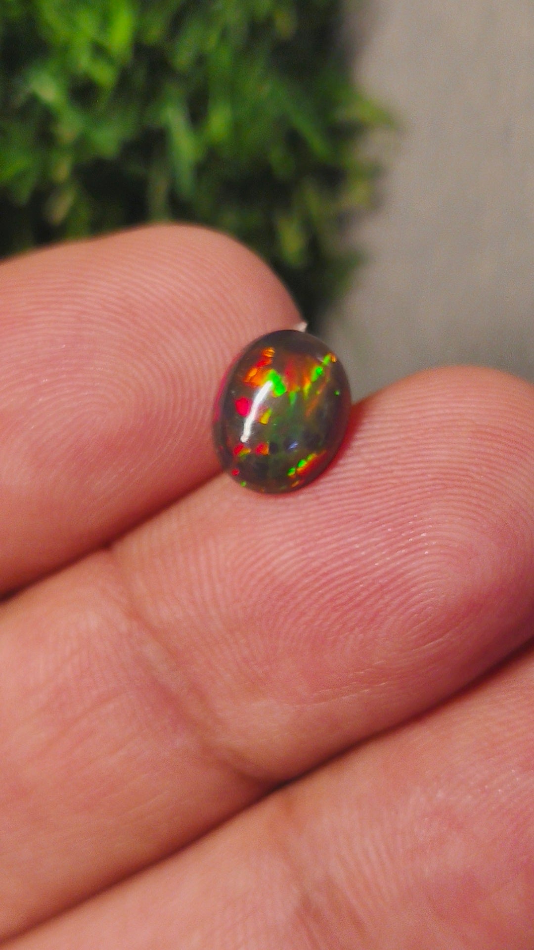 Premium Opal With Lab Certificate