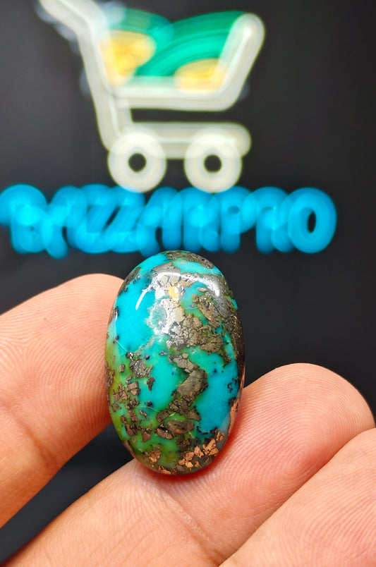 Nisha Puri Feroza (Sona Patti)