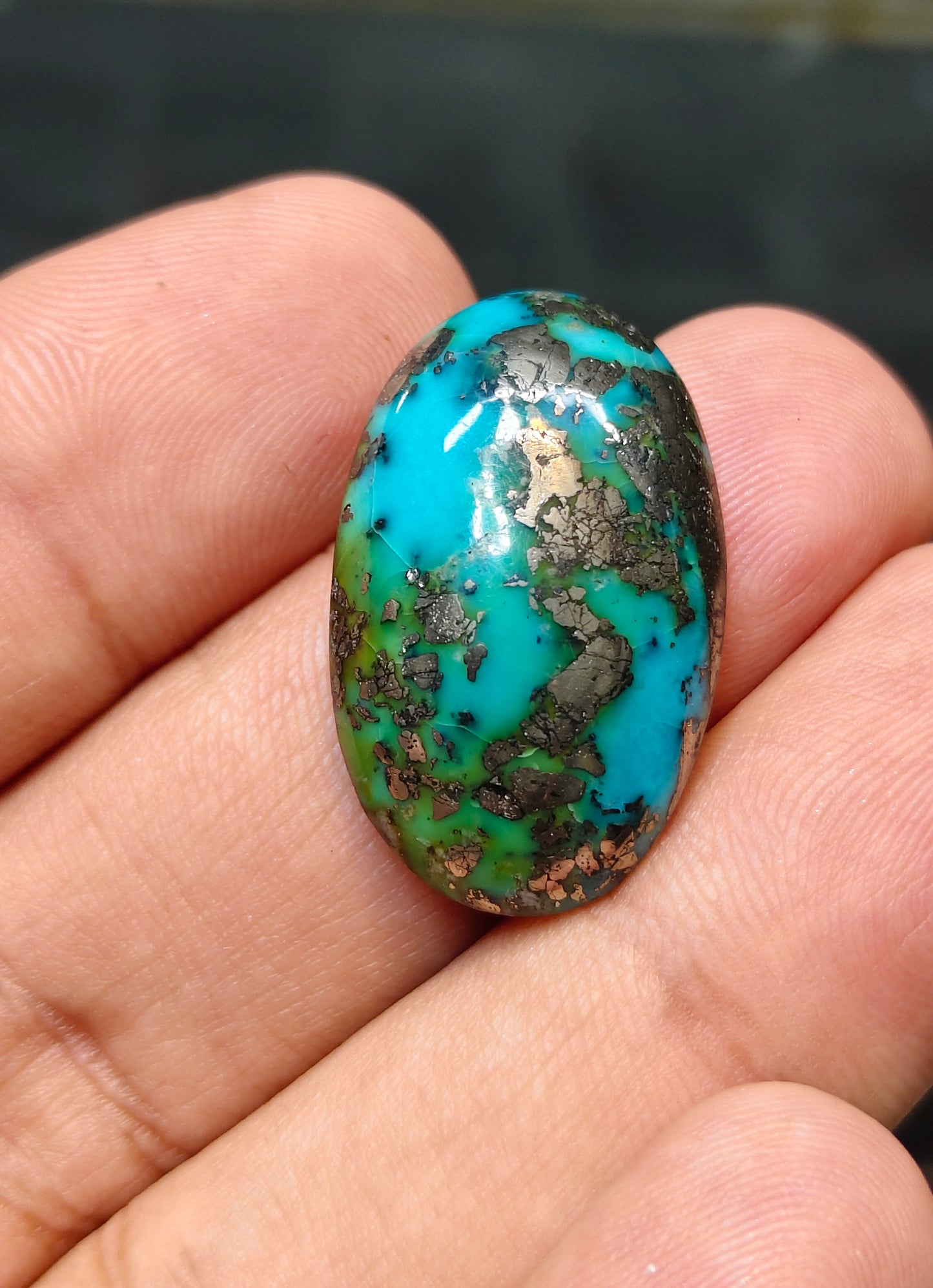 Nisha Puri Feroza (Sona Patti)