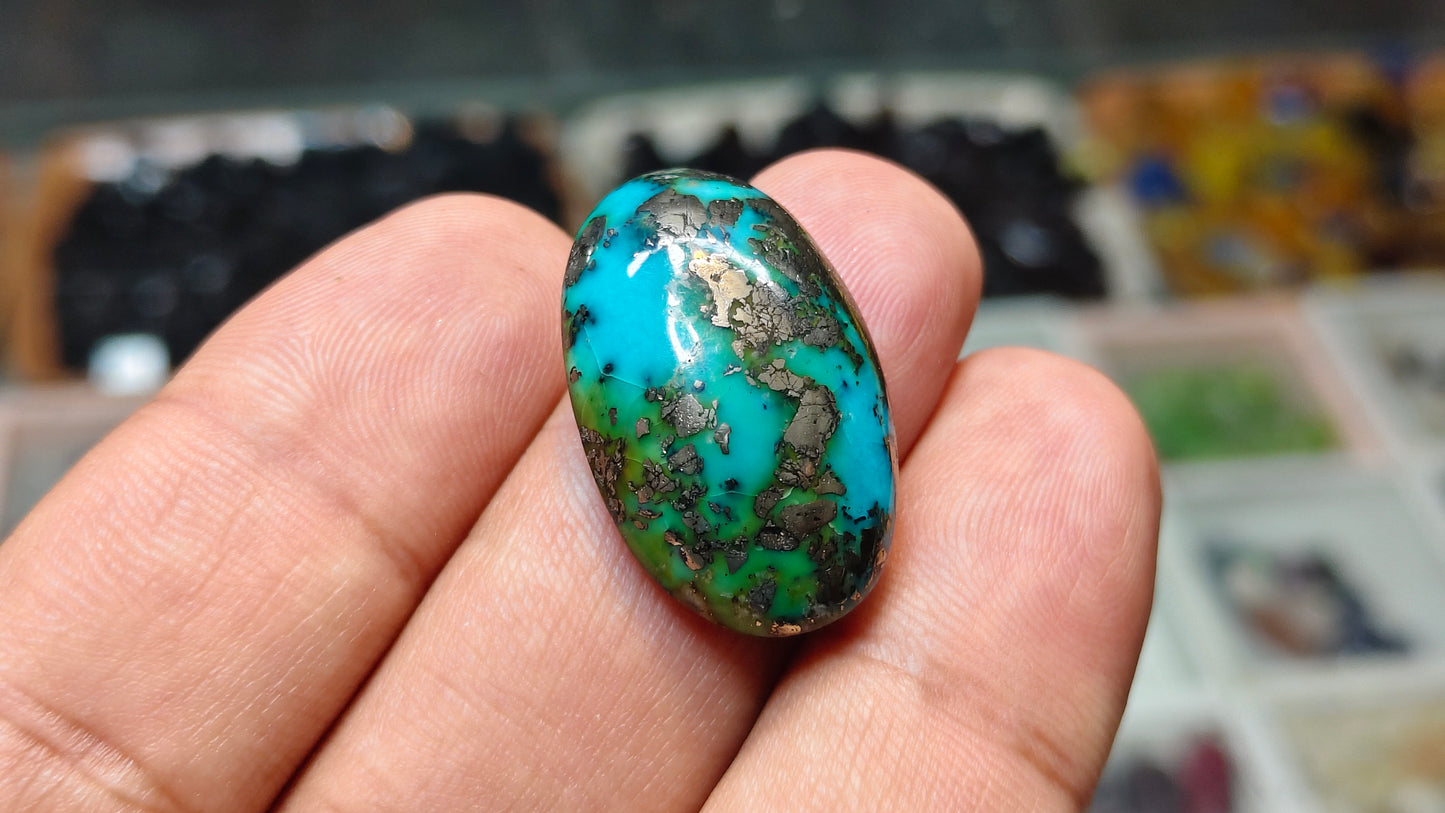 Nisha Puri Feroza (Sona Patti)