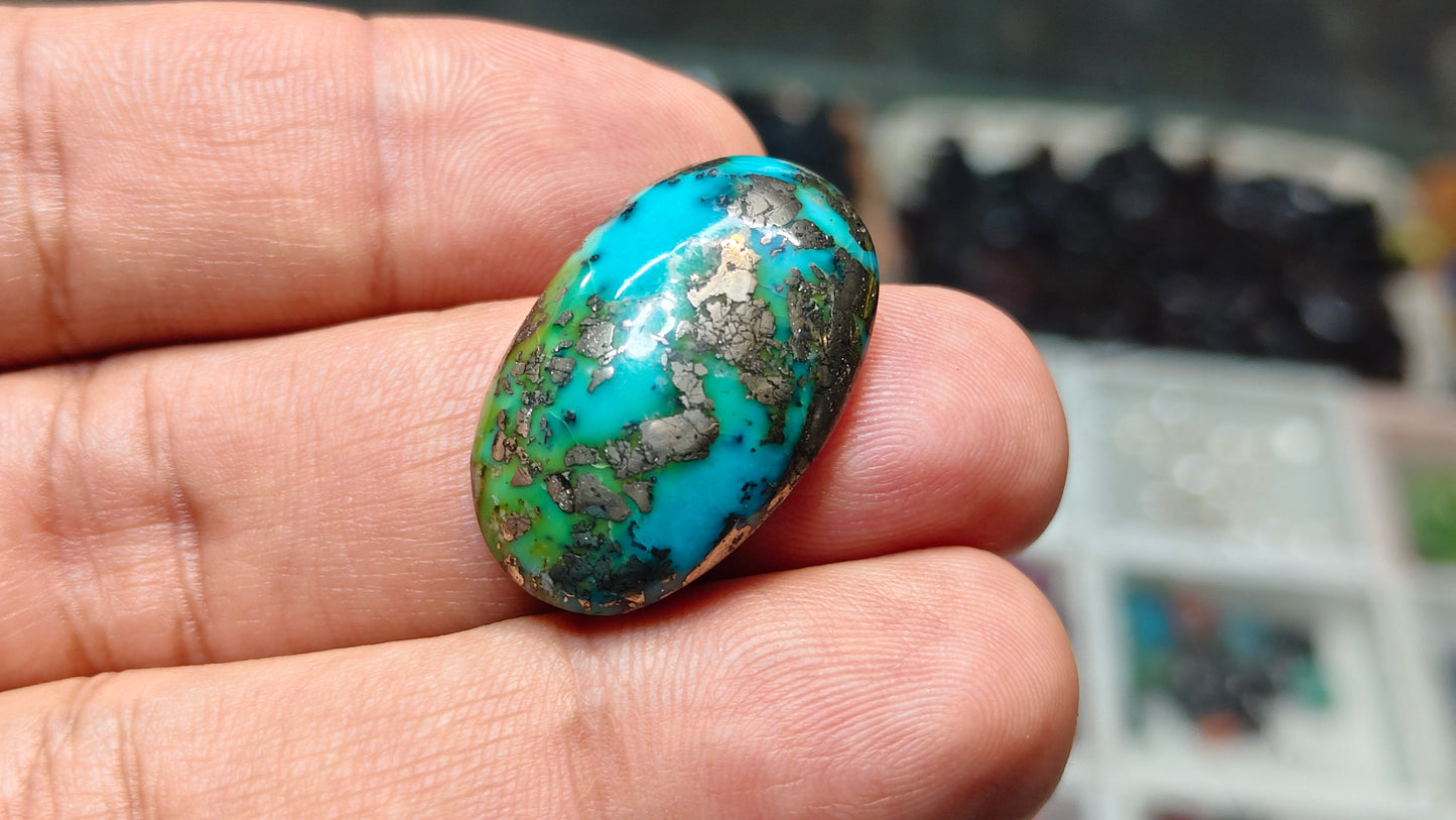 Nisha Puri Feroza (Sona Patti)