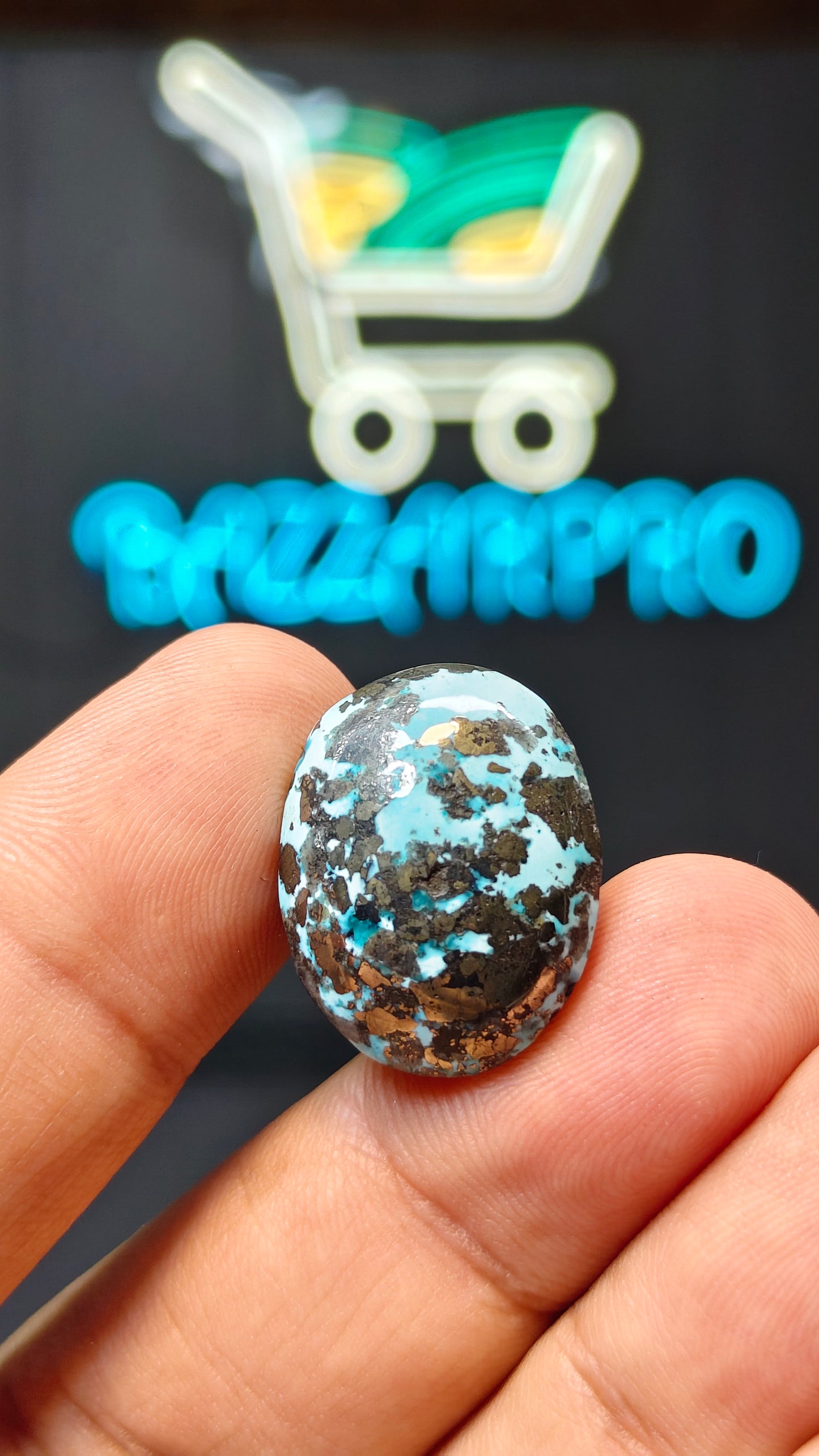 Nisha Puri Feroza (Sona Patti)