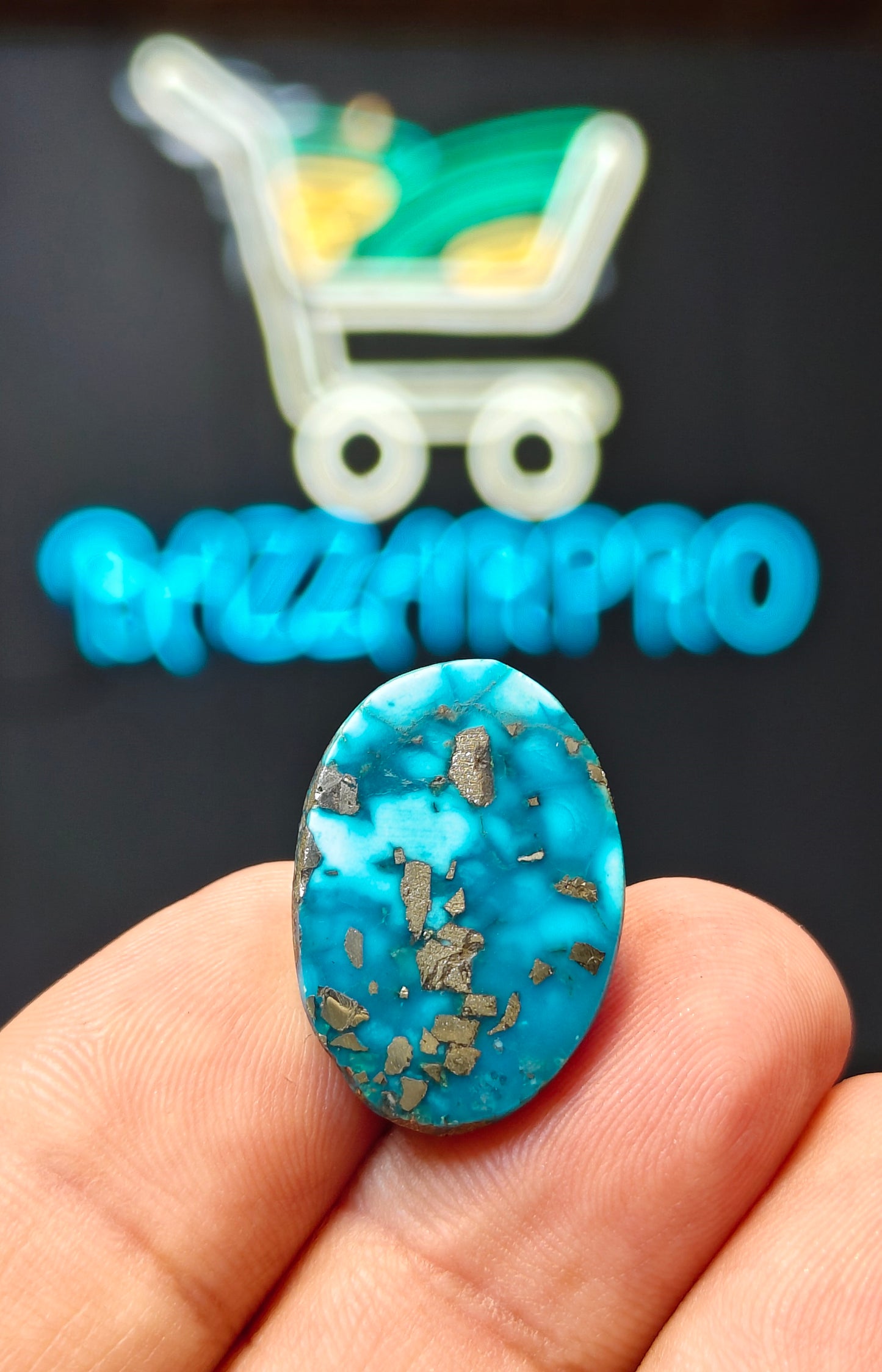 Nisha Puri Feroza (Sona Patti)