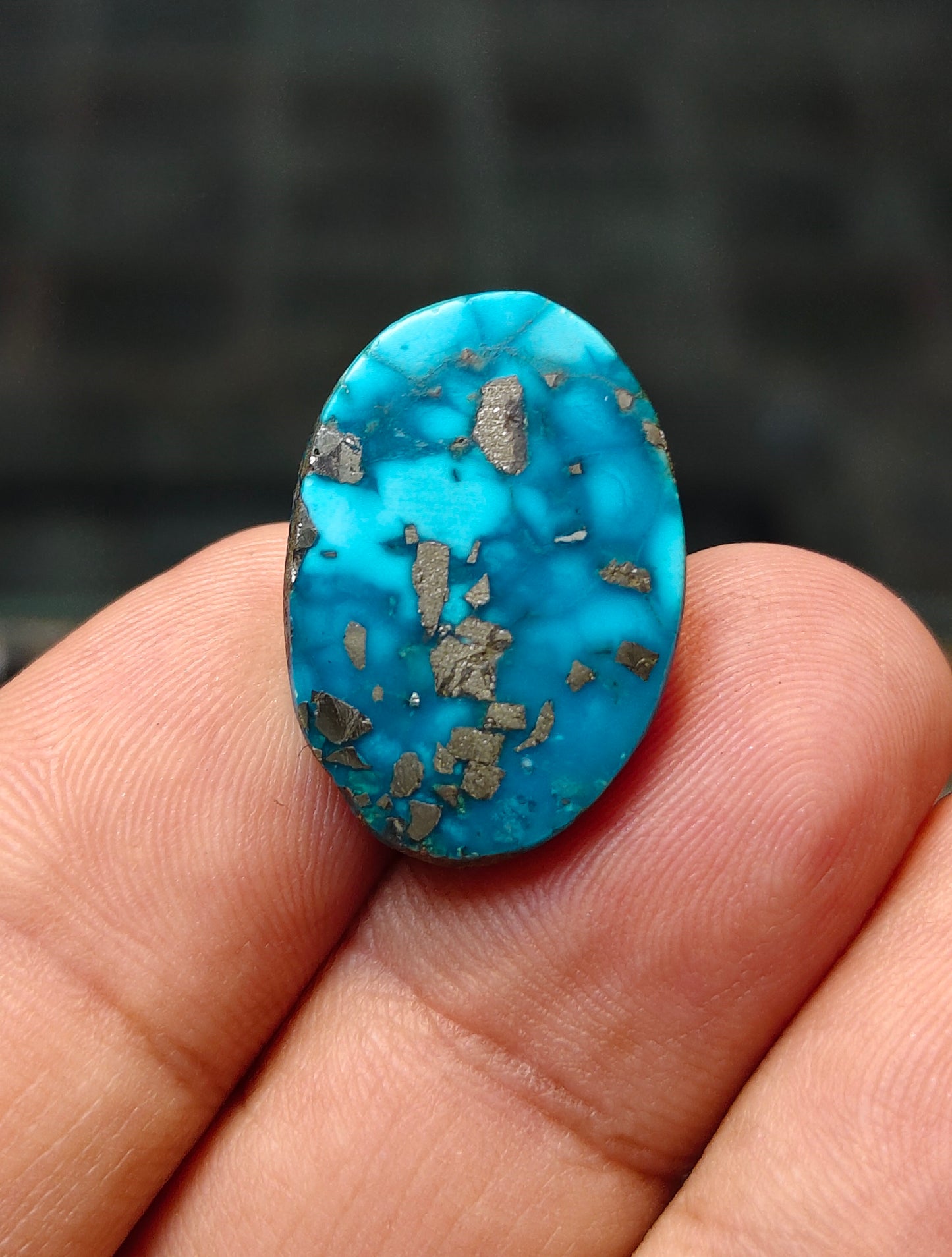 Nisha Puri Feroza (Sona Patti)