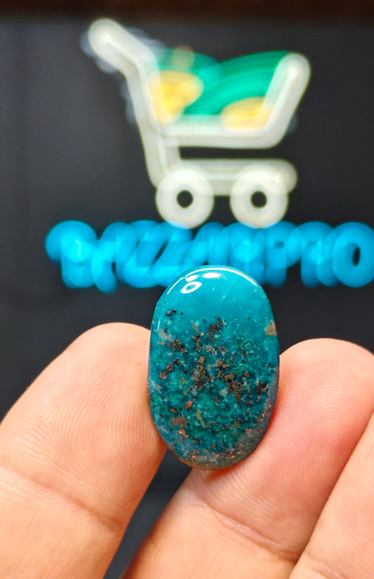 Nisha Puri Feroza (Sona Patti)