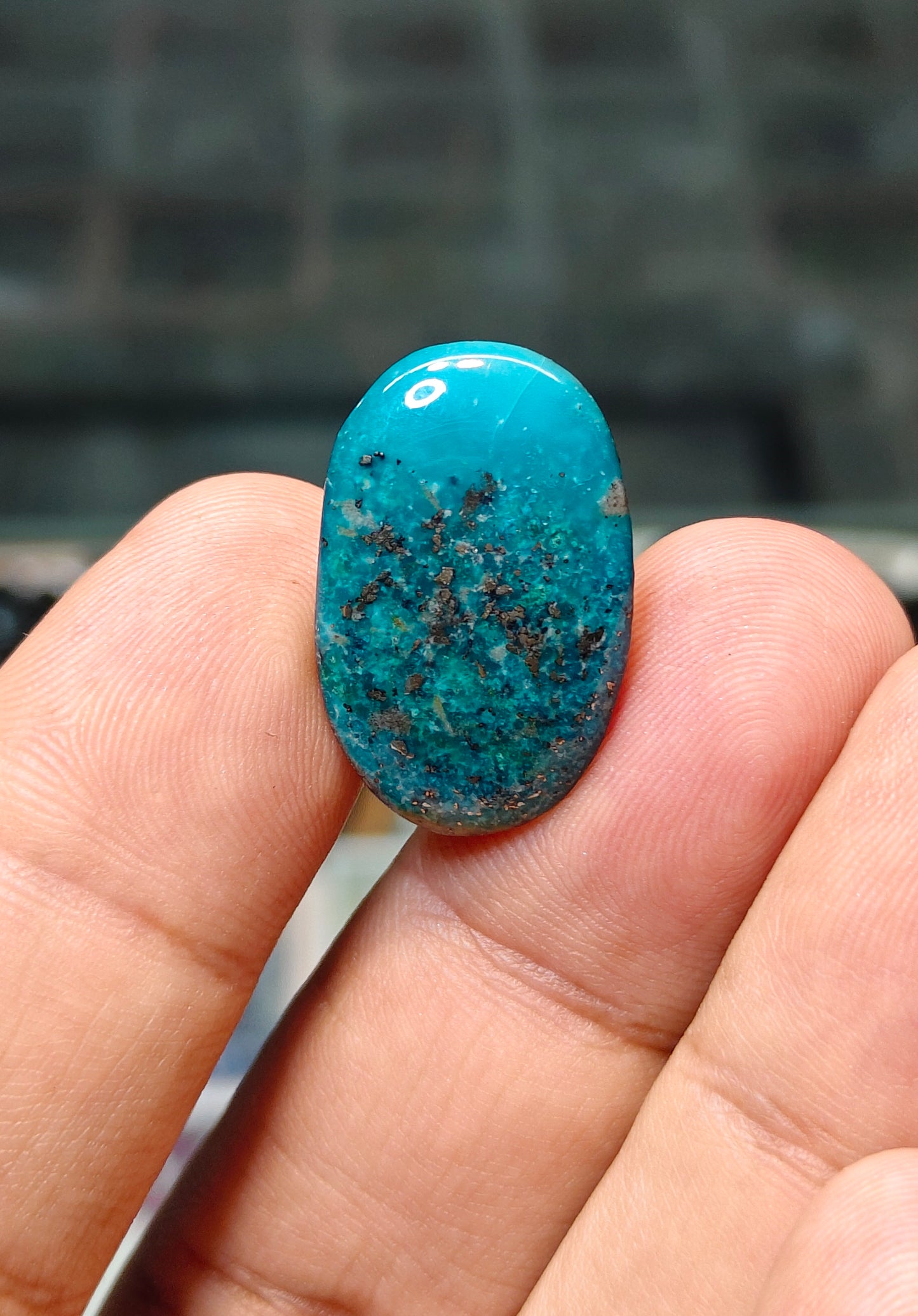 Nisha Puri Feroza (Sona Patti)