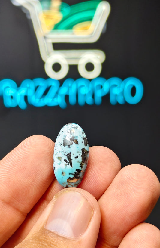 Nisha Puri Feroza (Sona Patti)