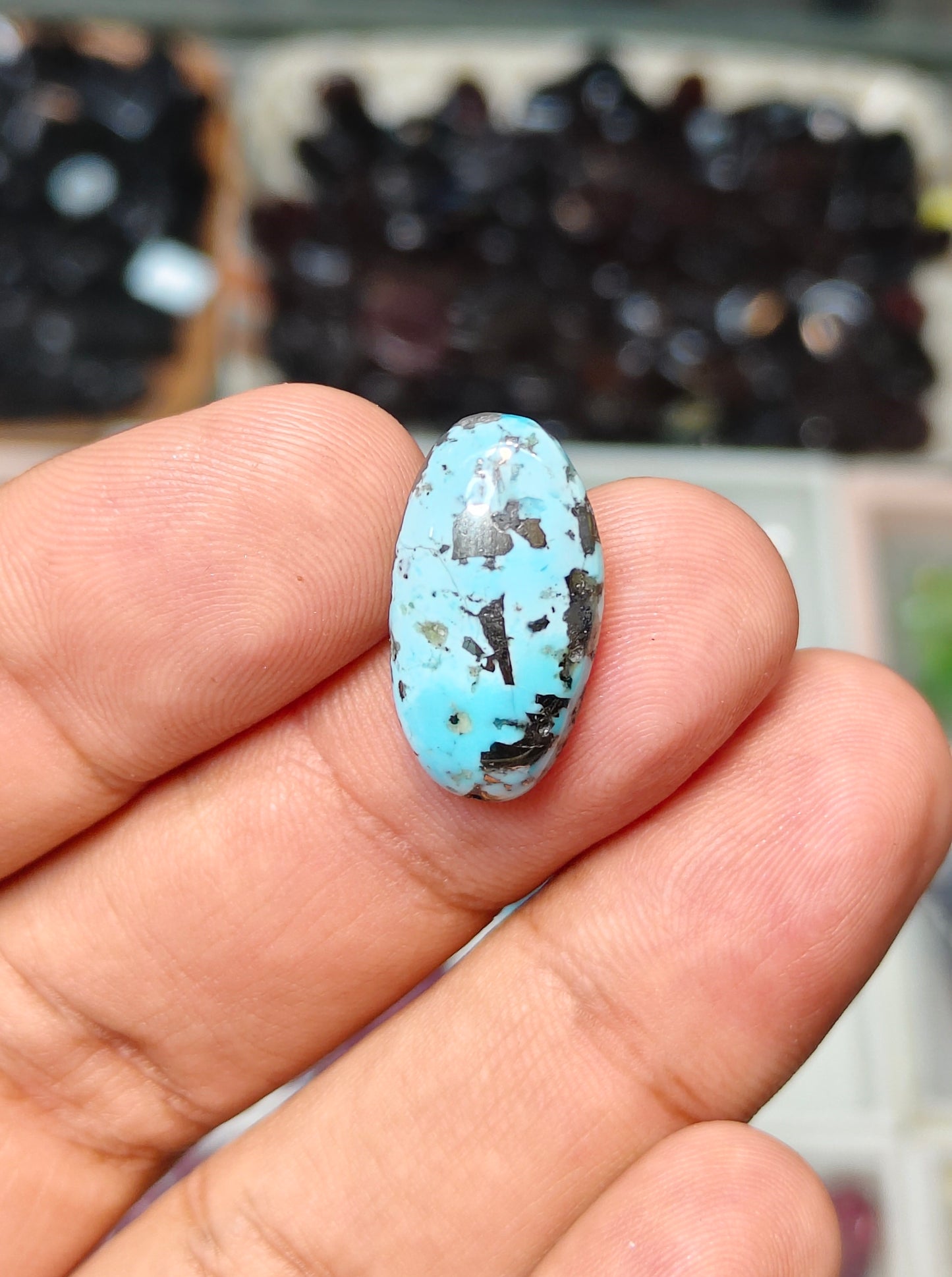 Nisha Puri Feroza (Sona Patti)