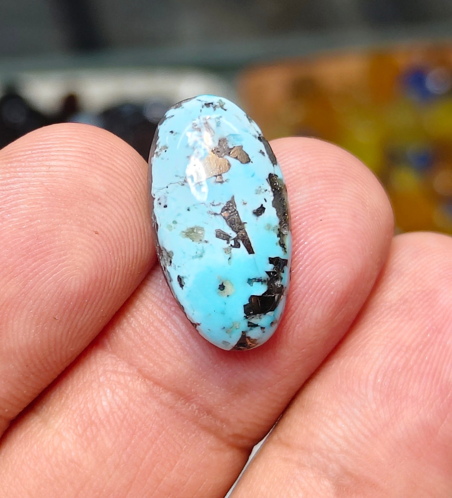 Nisha Puri Feroza (Sona Patti)