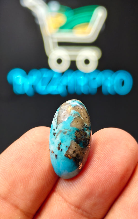 Nisha Puri Feroza (Sona Patti)