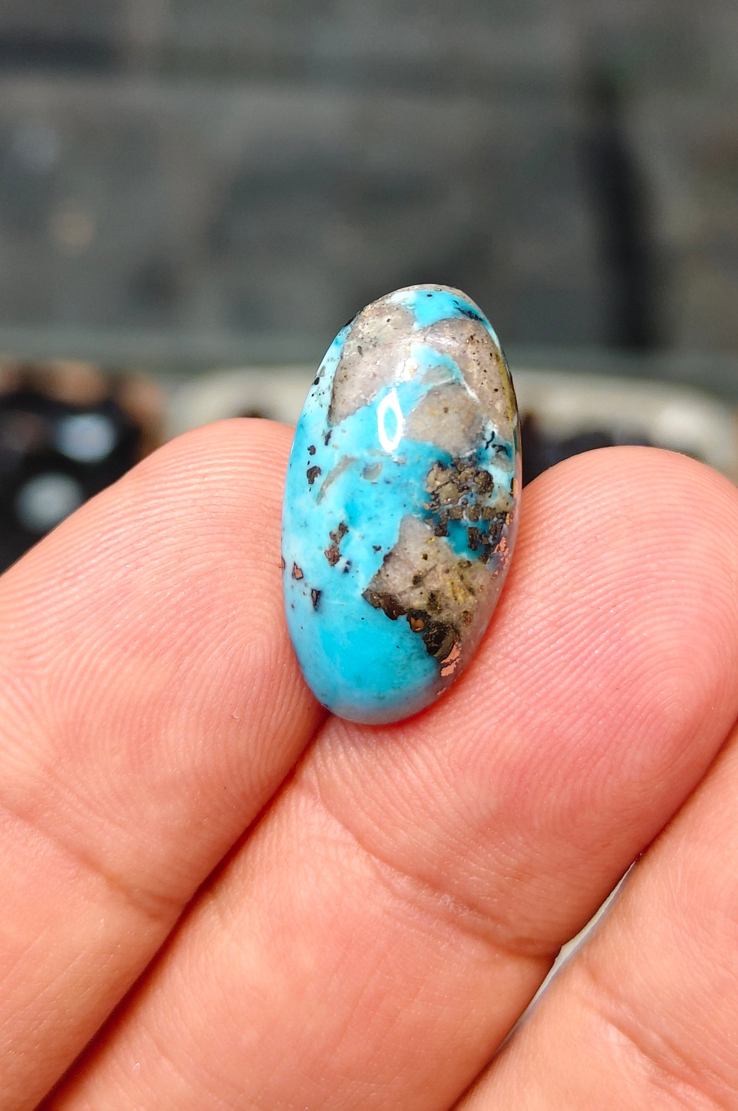 Nisha Puri Feroza (Sona Patti)