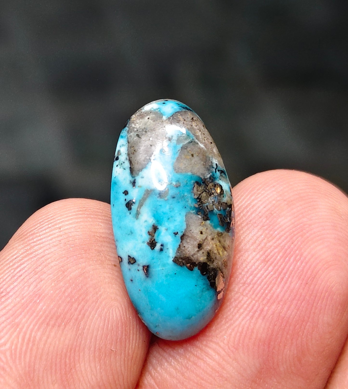 Nisha Puri Feroza (Sona Patti)