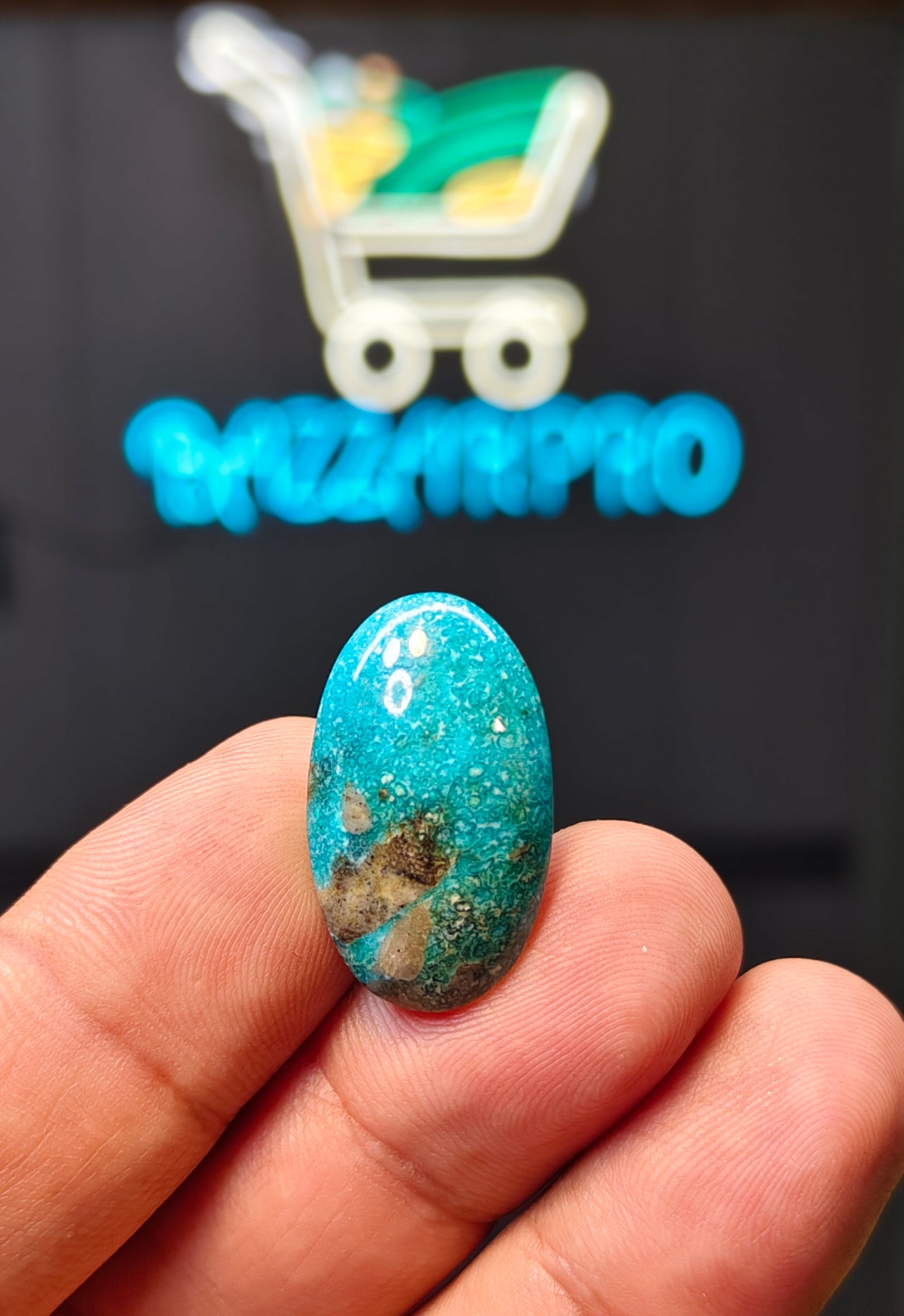 Nisha Puri Feroza (Sona Patti)